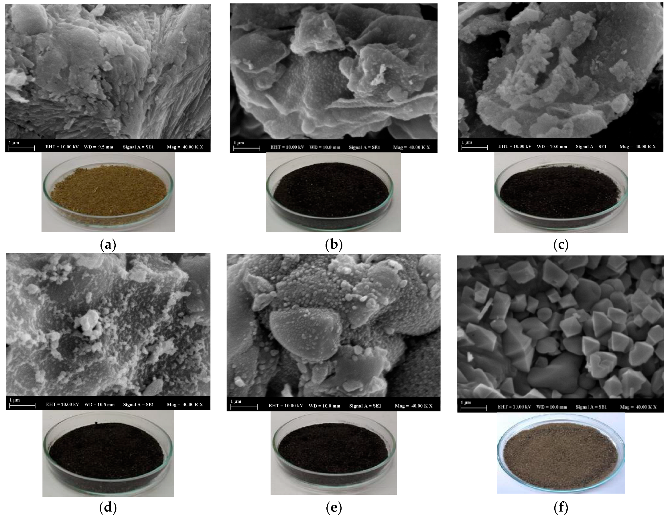 Molecules 28 06639 g001