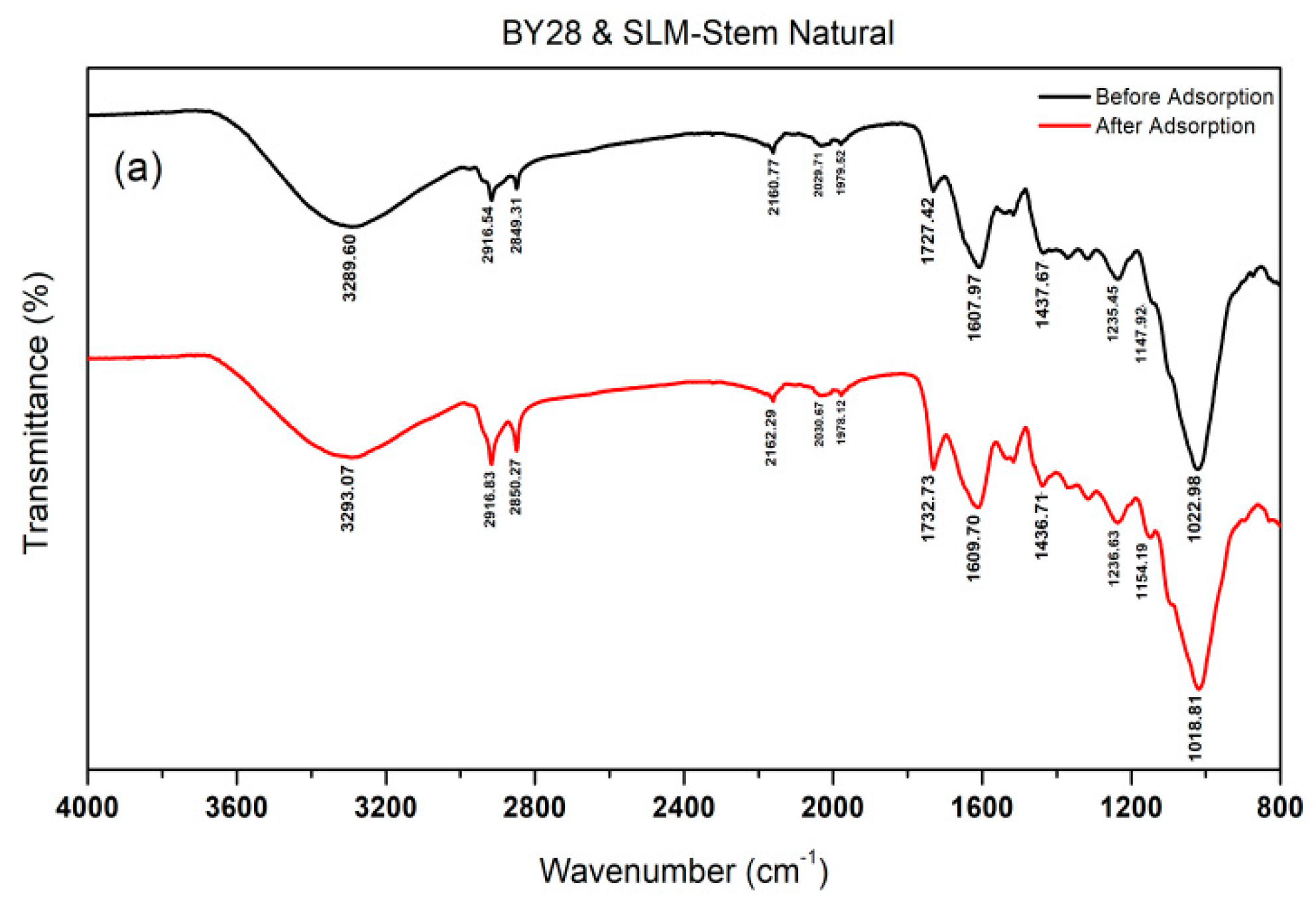 Molecules 28 06639 g004a