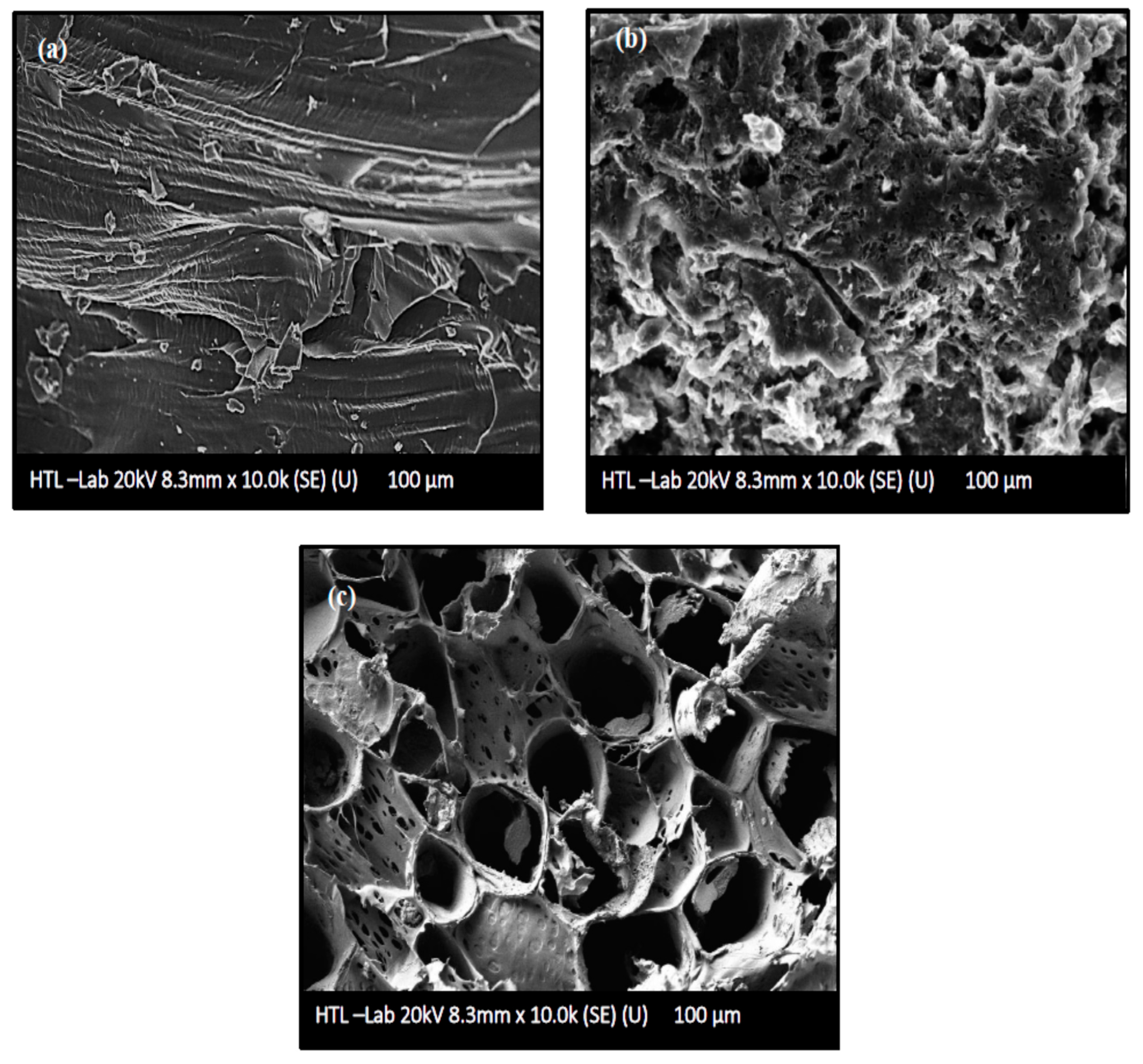 Molecules 28 06640 g006 Molecules 28 06640 g006