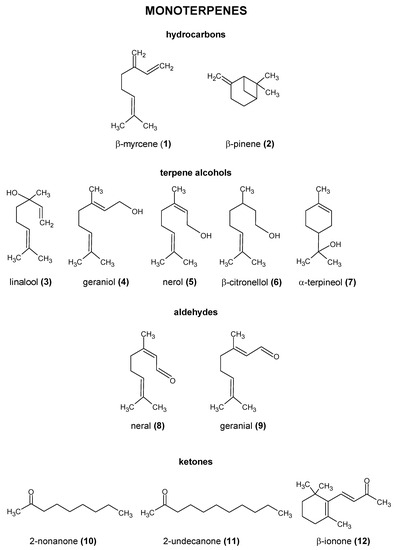 Molecules 28 06648 g002