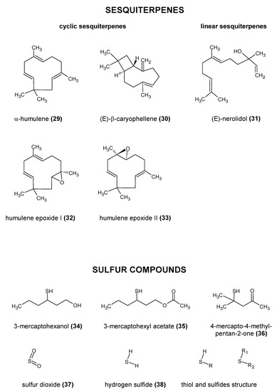 Molecules 28 06648 g004