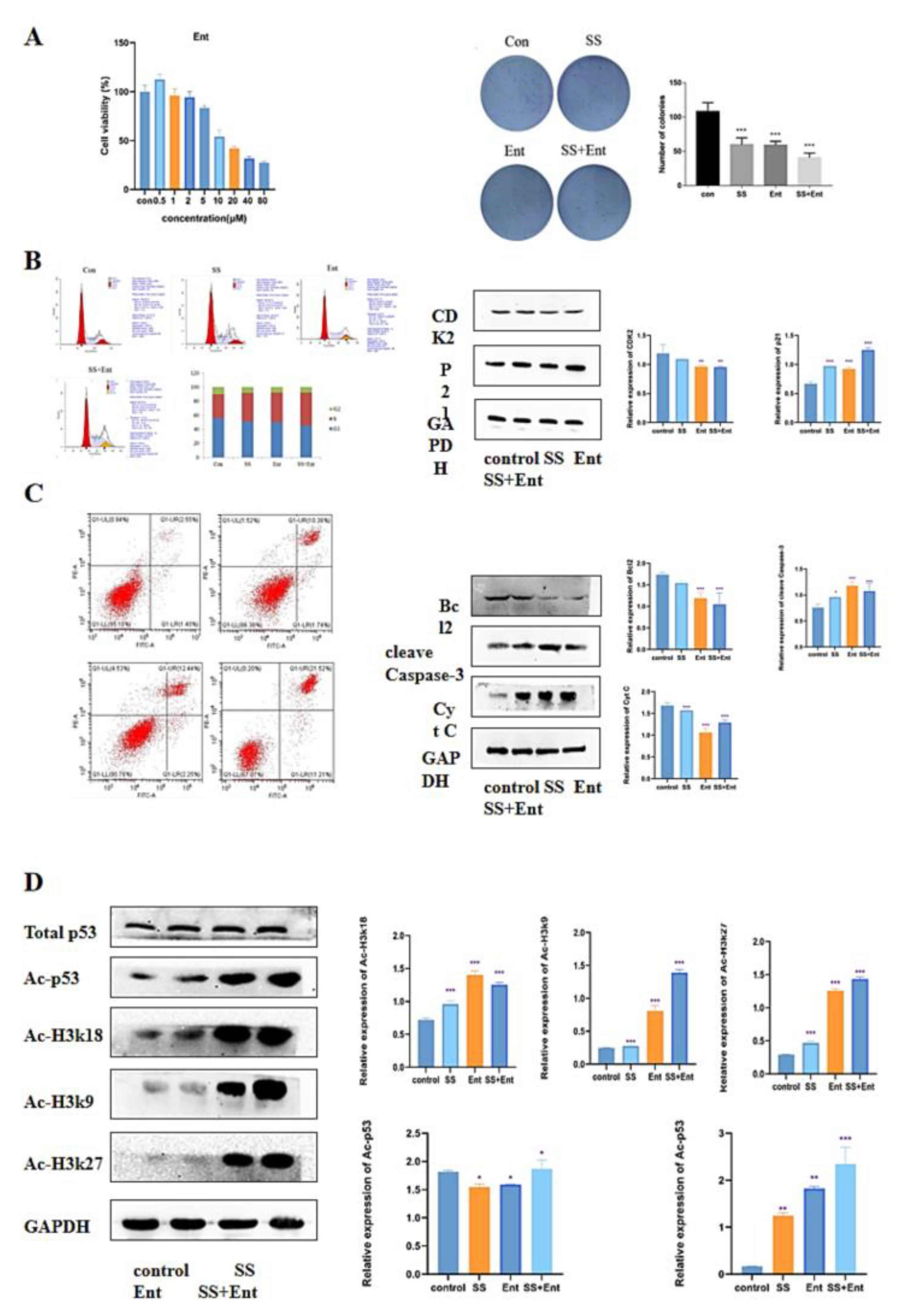 Molecules 28 06649 g006