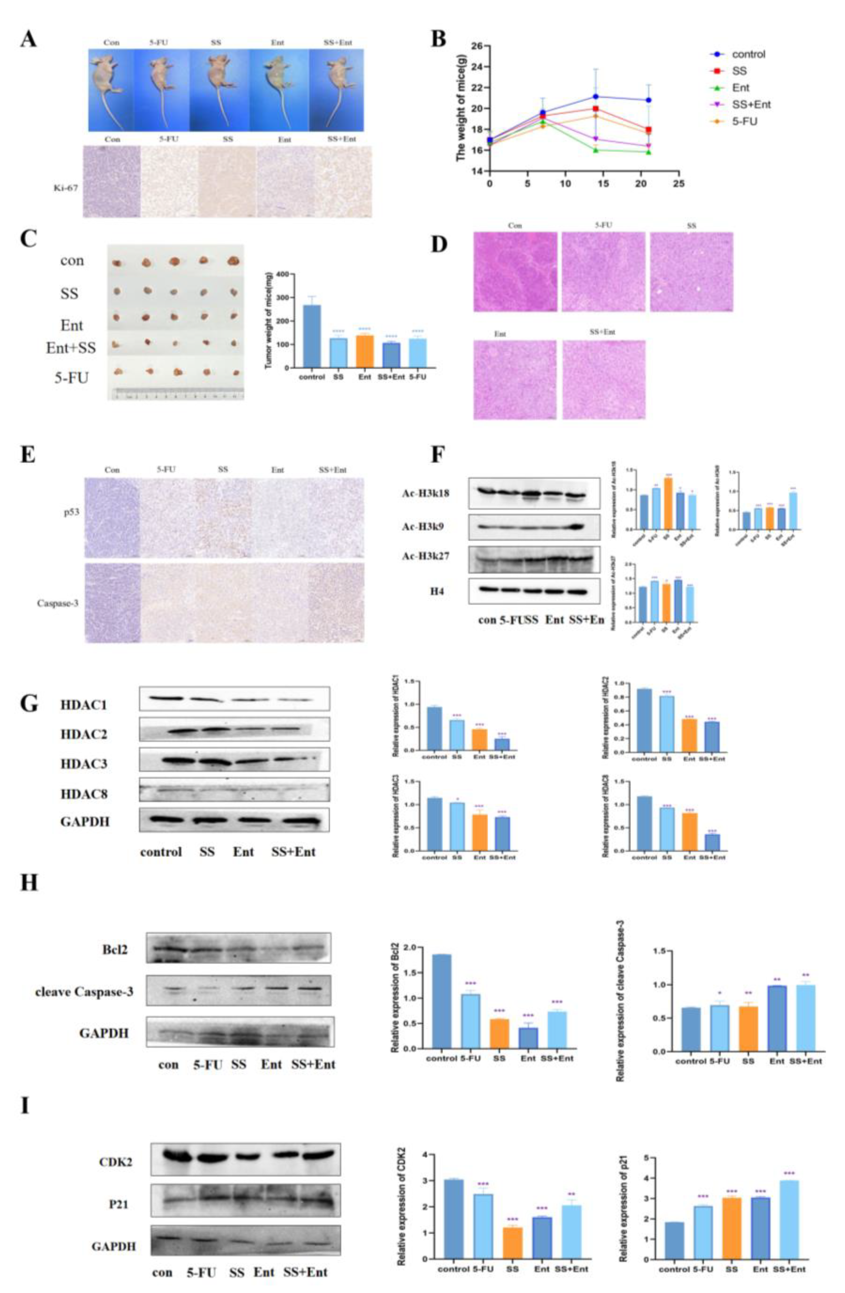 Molecules 28 06649 g007