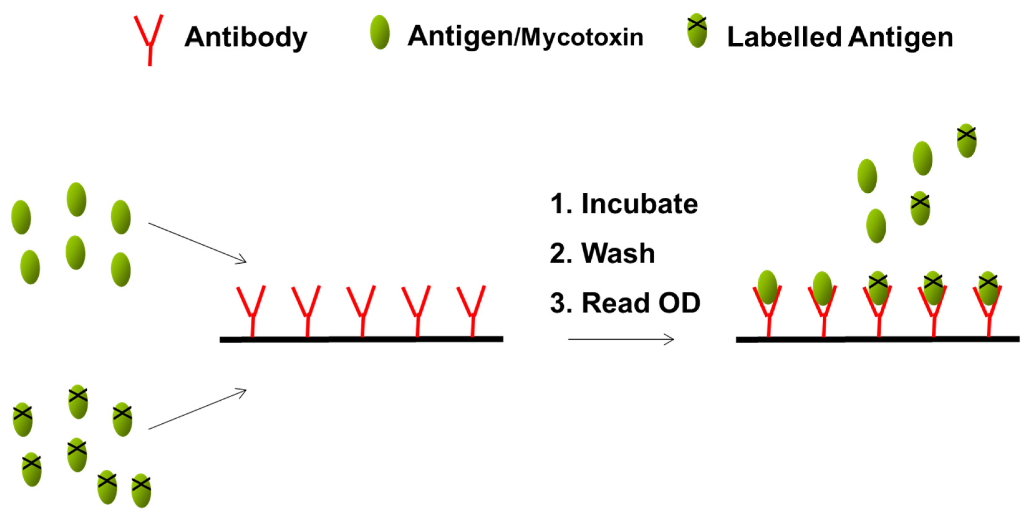 Molecules 28 06657 g003