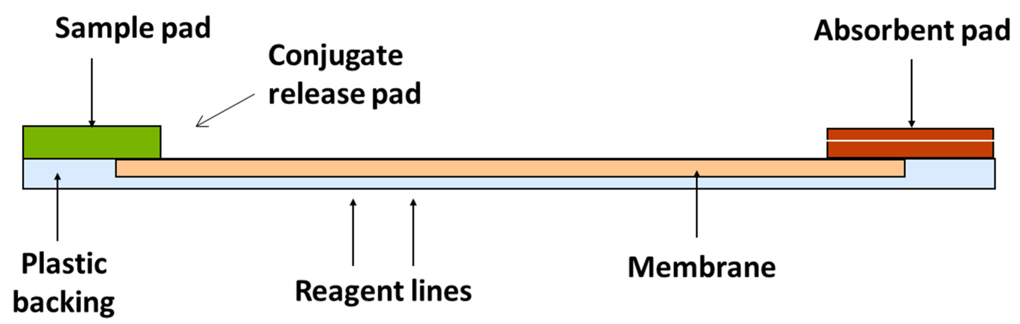 Molecules 28 06657 g004