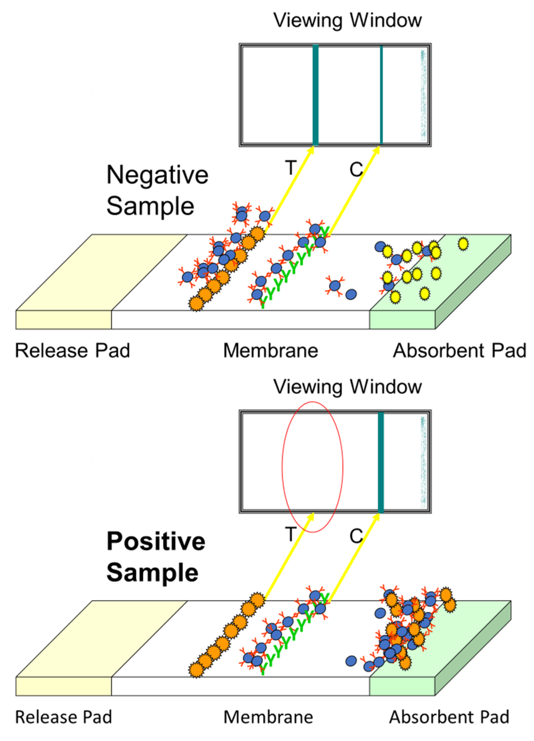 Molecules 28 06657 g005