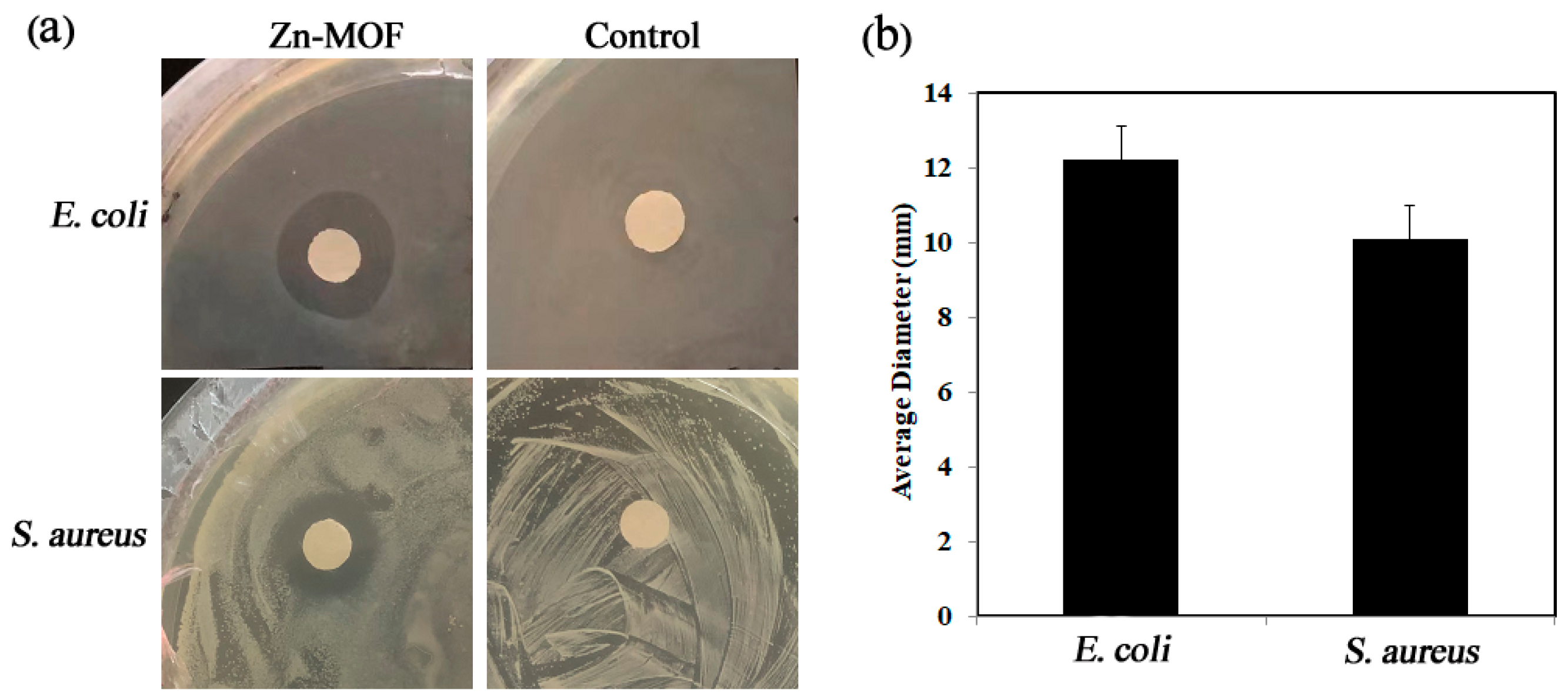 Molecules 28 06662 g001