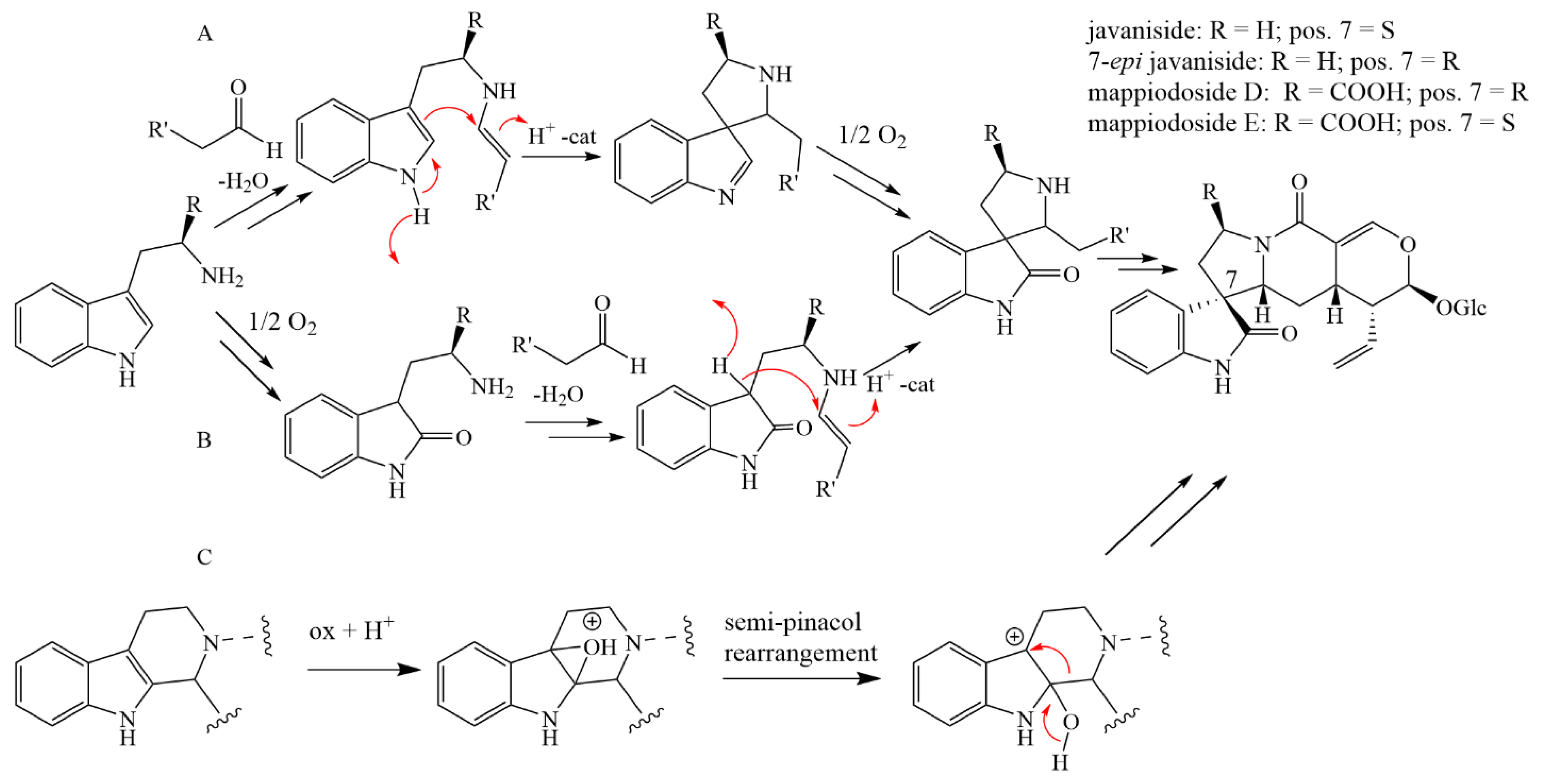 Molecules 28 06664 g006