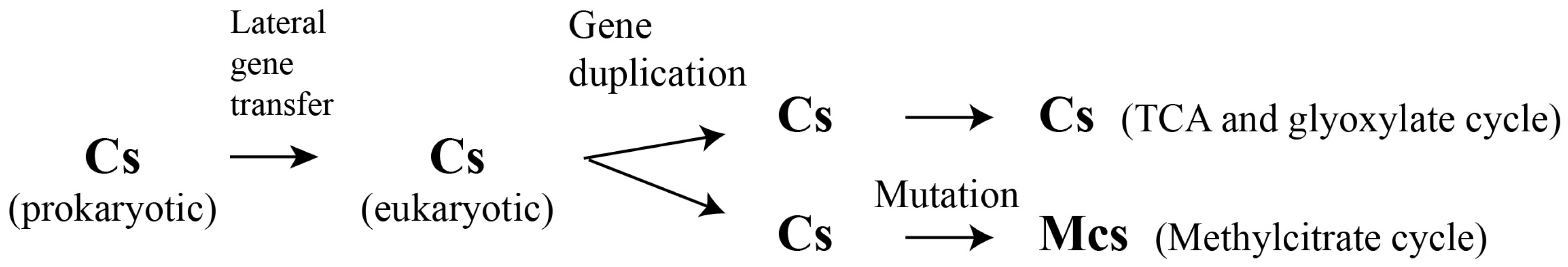 Molecules 28 06667 g002