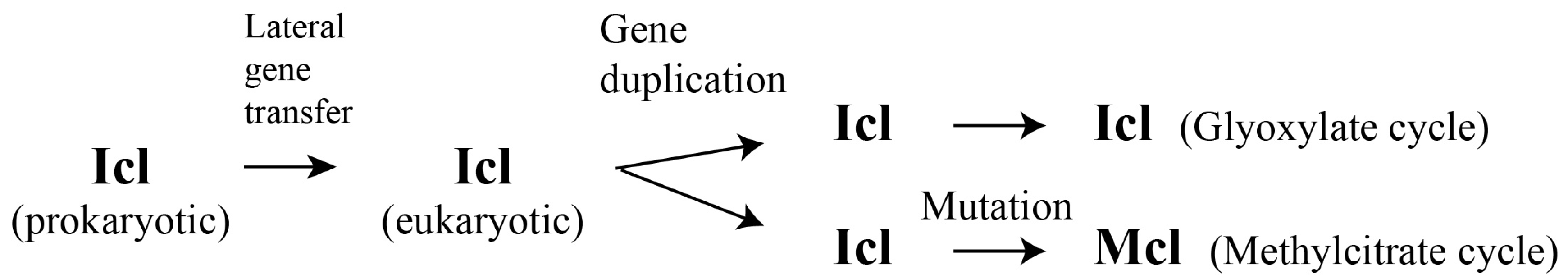 Molecules 28 06667 g003