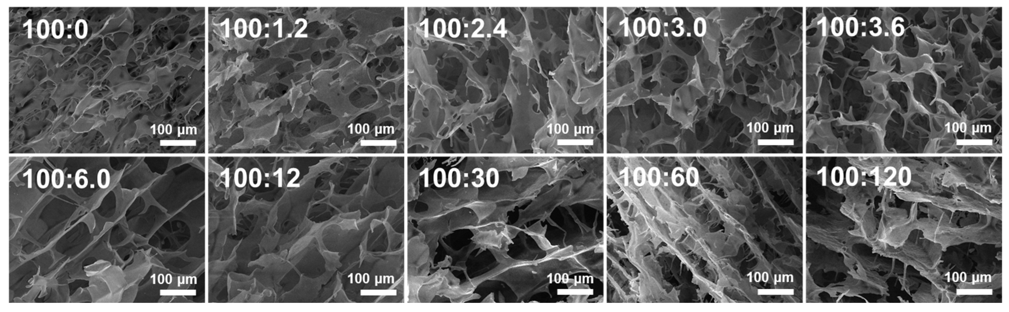 Molecules 28 06670 g006