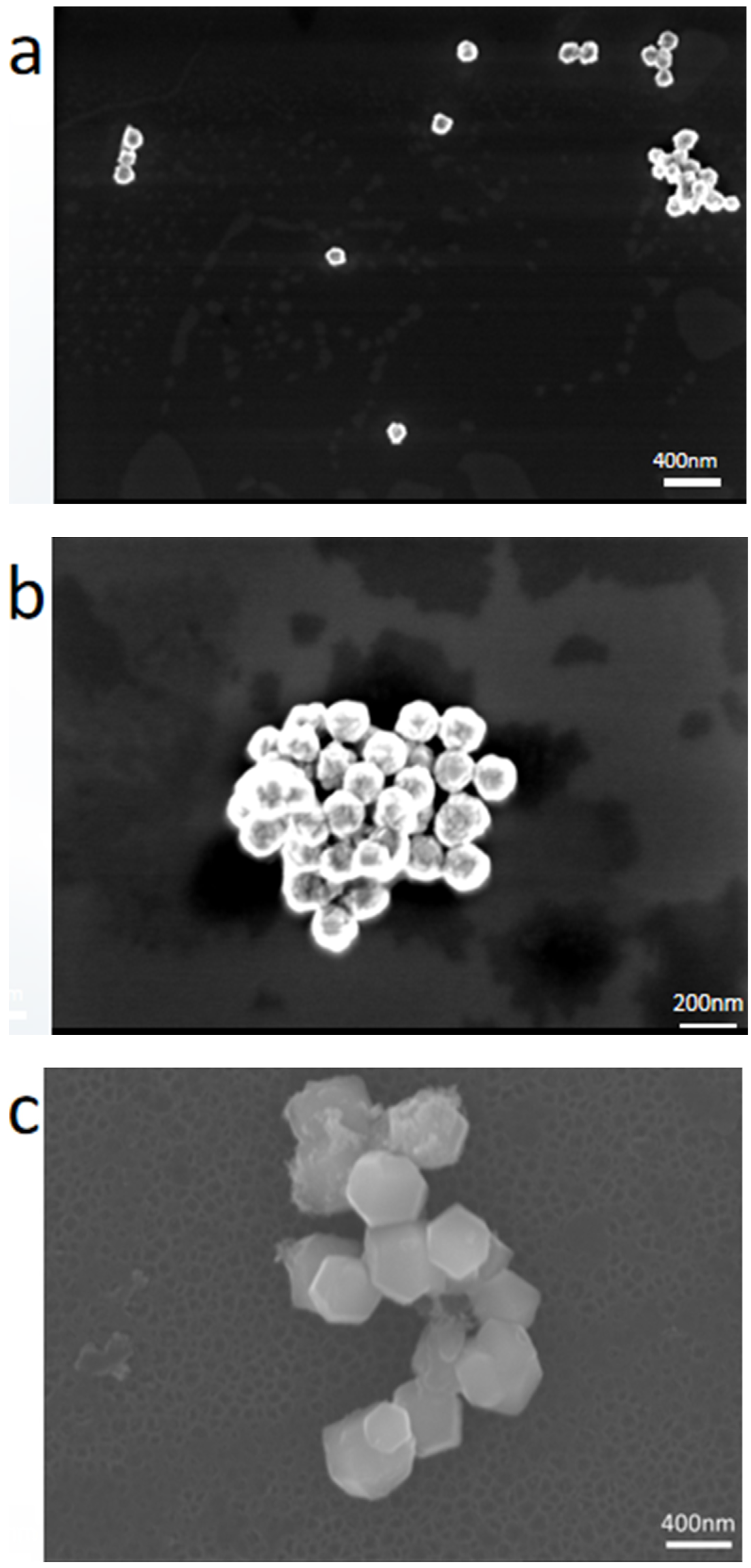 Molecules 28 06671 g002a