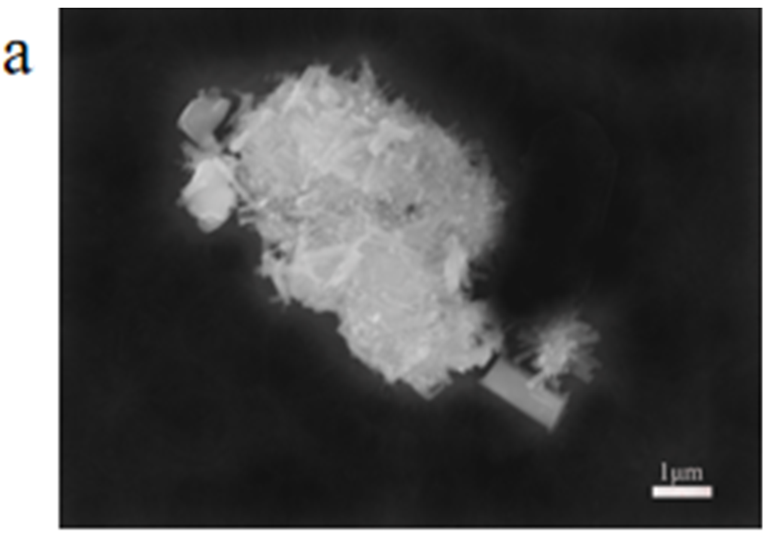 Molecules 28 06671 g004a