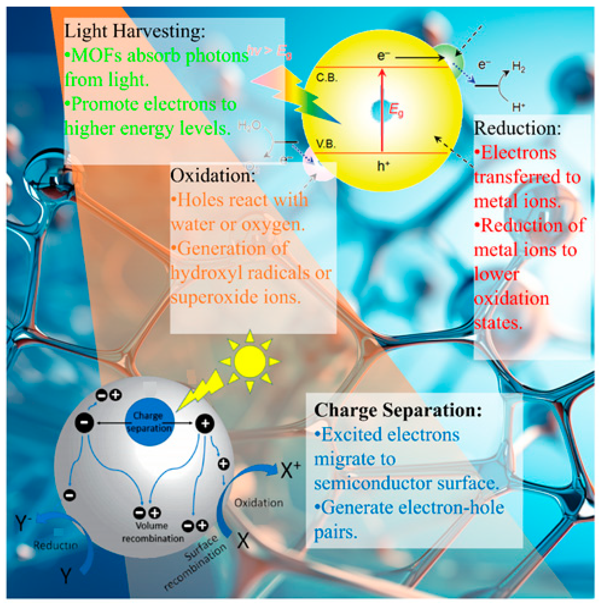 Molecules 28 06681 g004