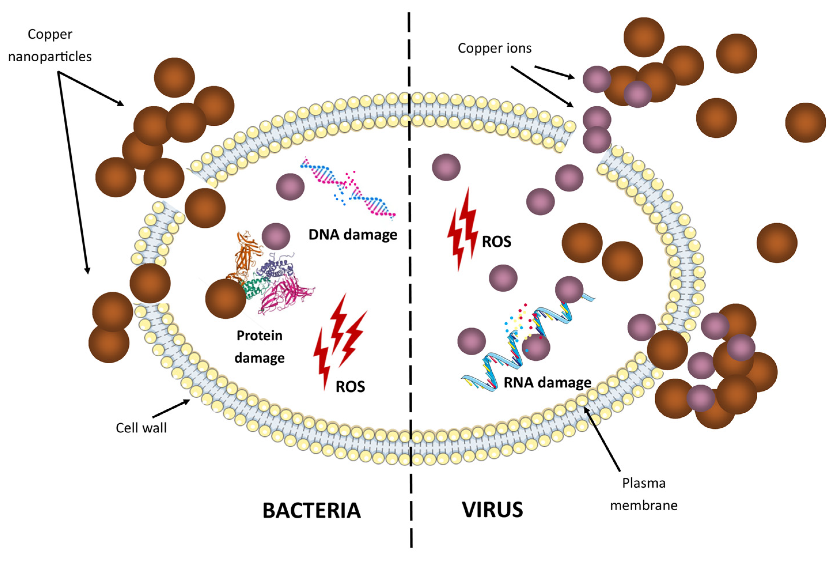 Molecules 28 06687 g005