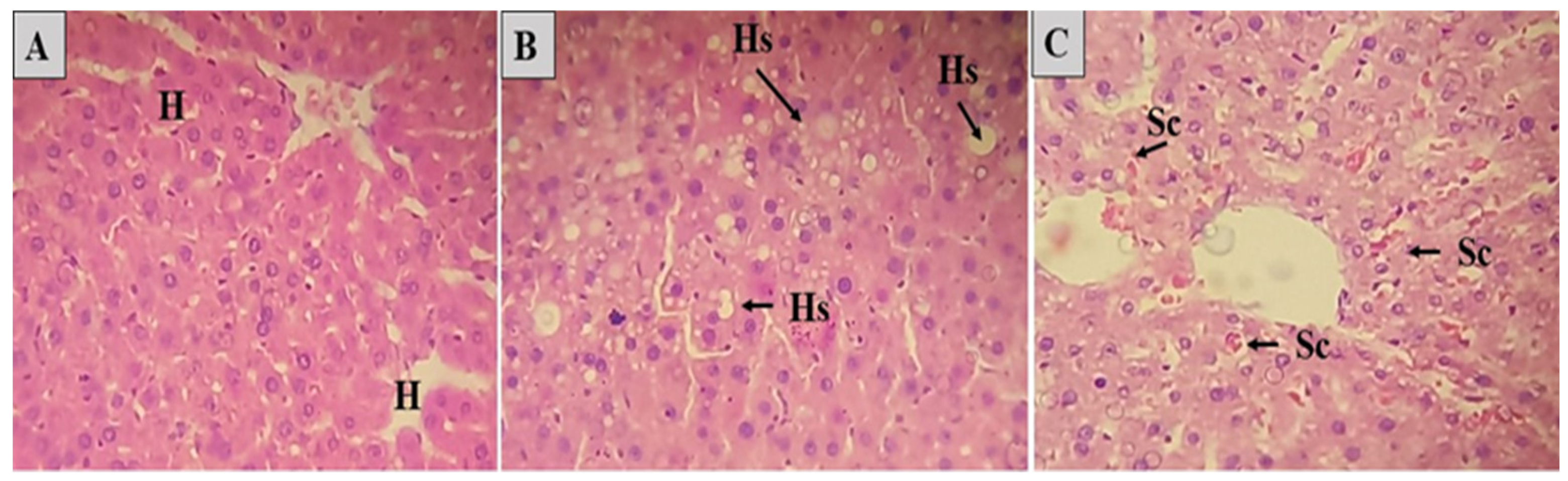 Molecules 28 06689 g007 Molecules 28 06689 g007