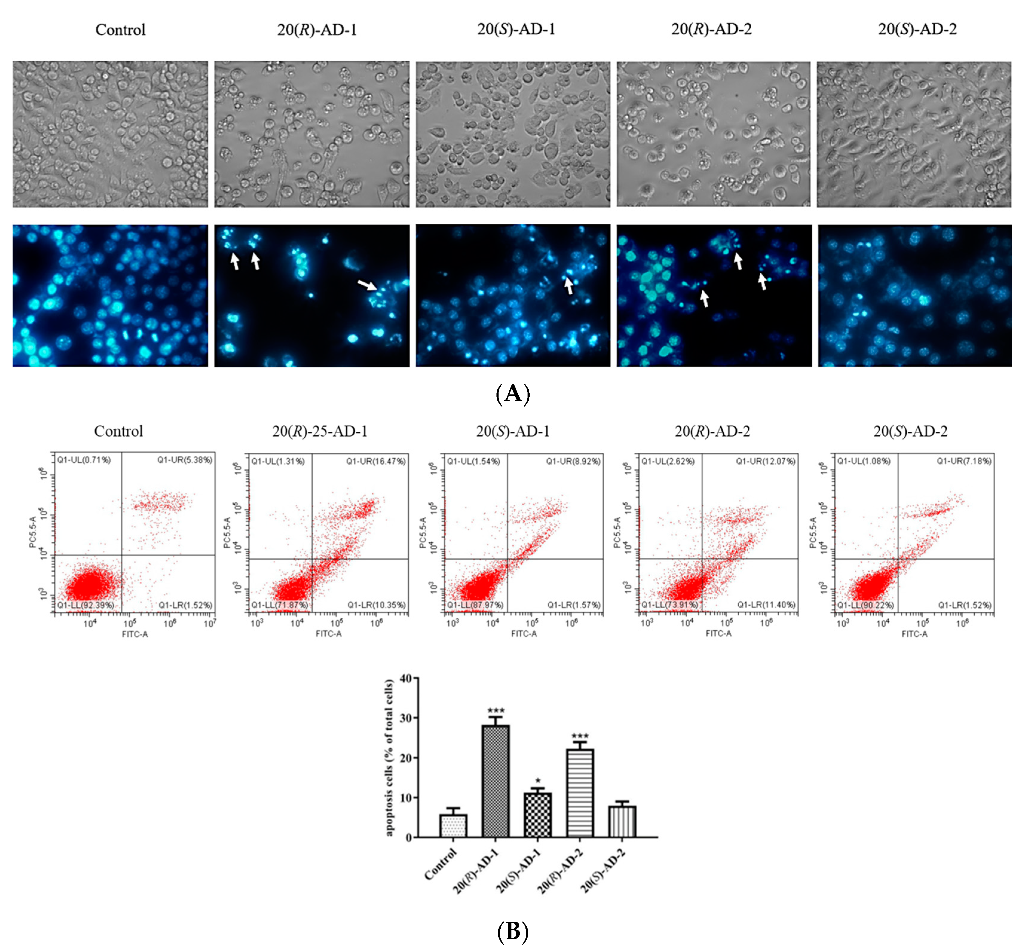 Molecules 28 06698 g002a