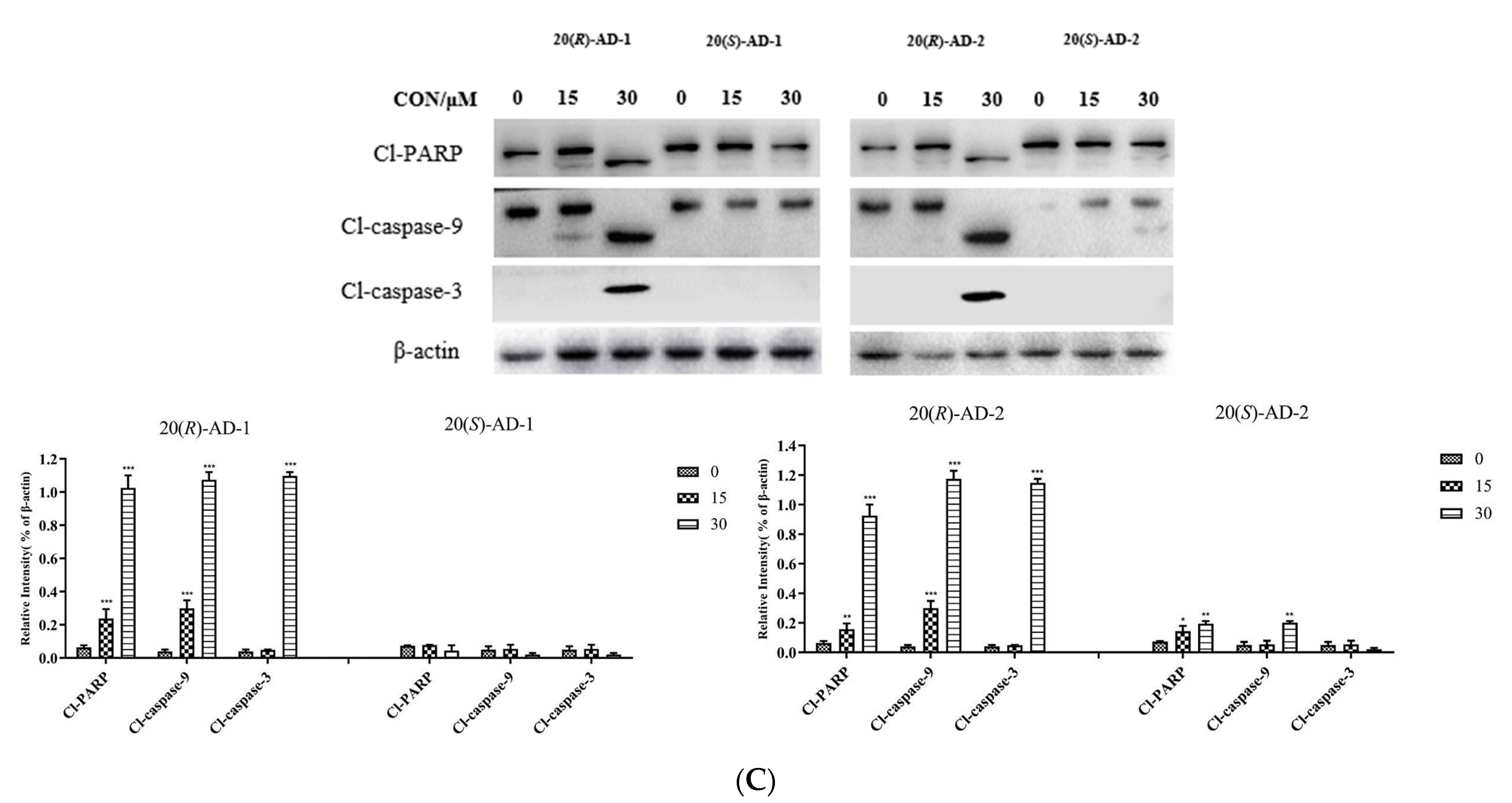 Molecules 28 06698 g002b