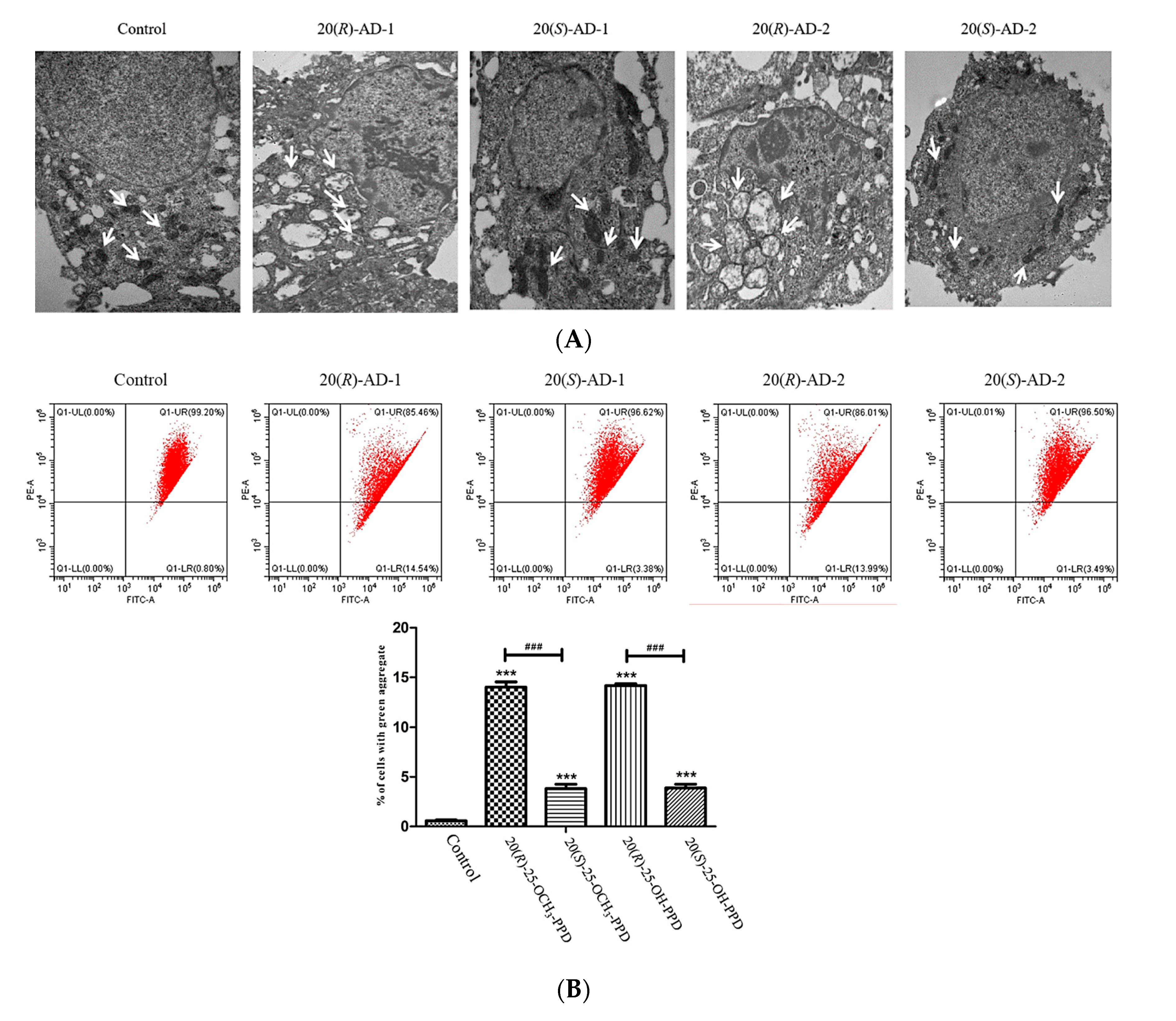 Molecules 28 06698 g003a