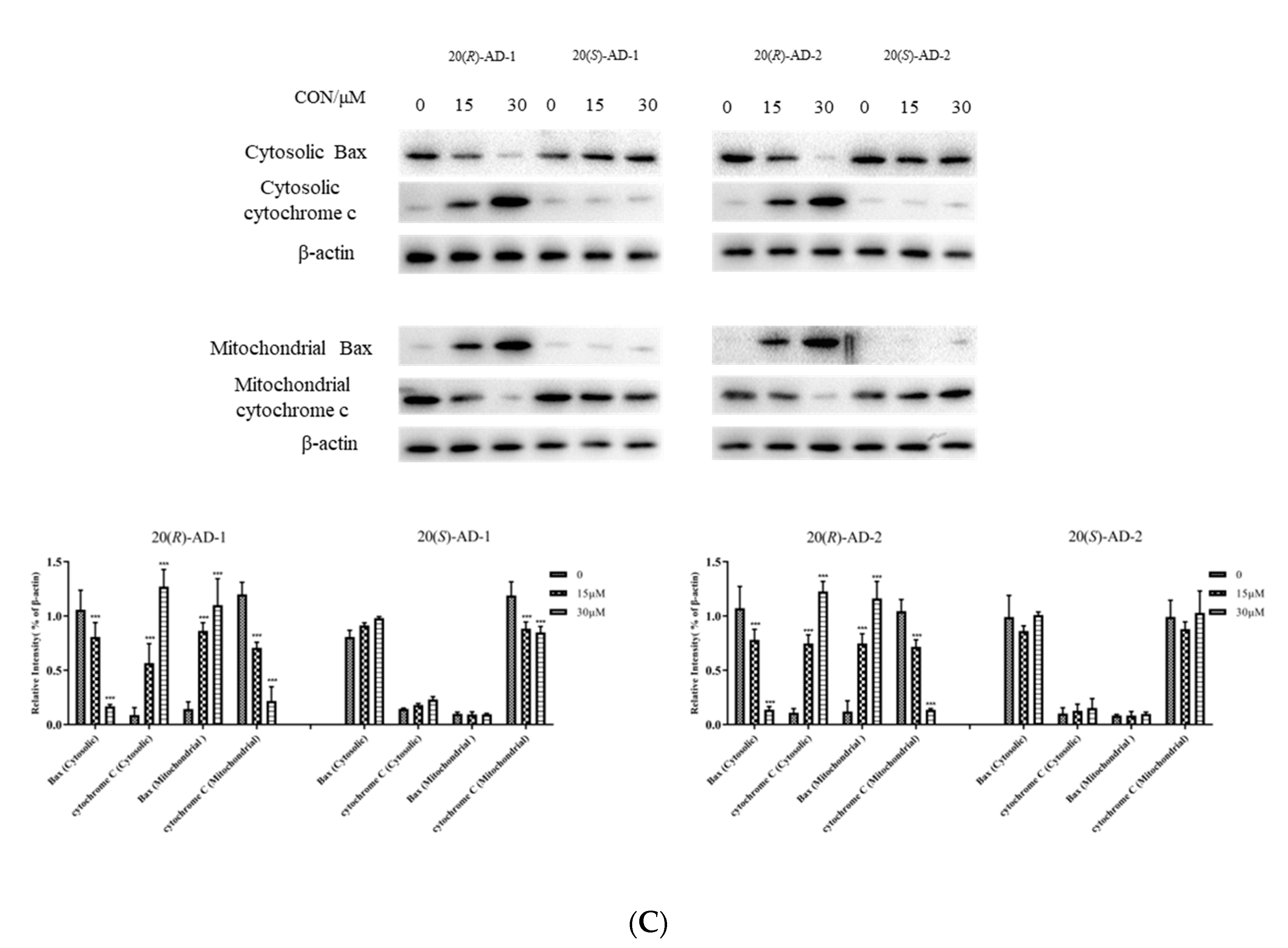 Molecules 28 06698 g003b