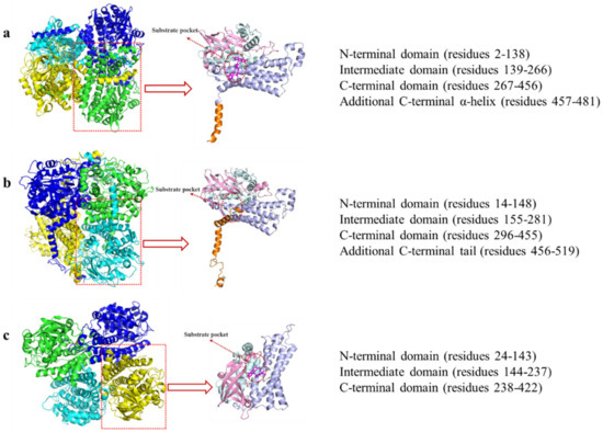 Molecules 28 06699 g004