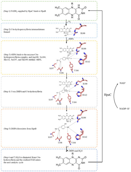 Molecules 28 06699 g006