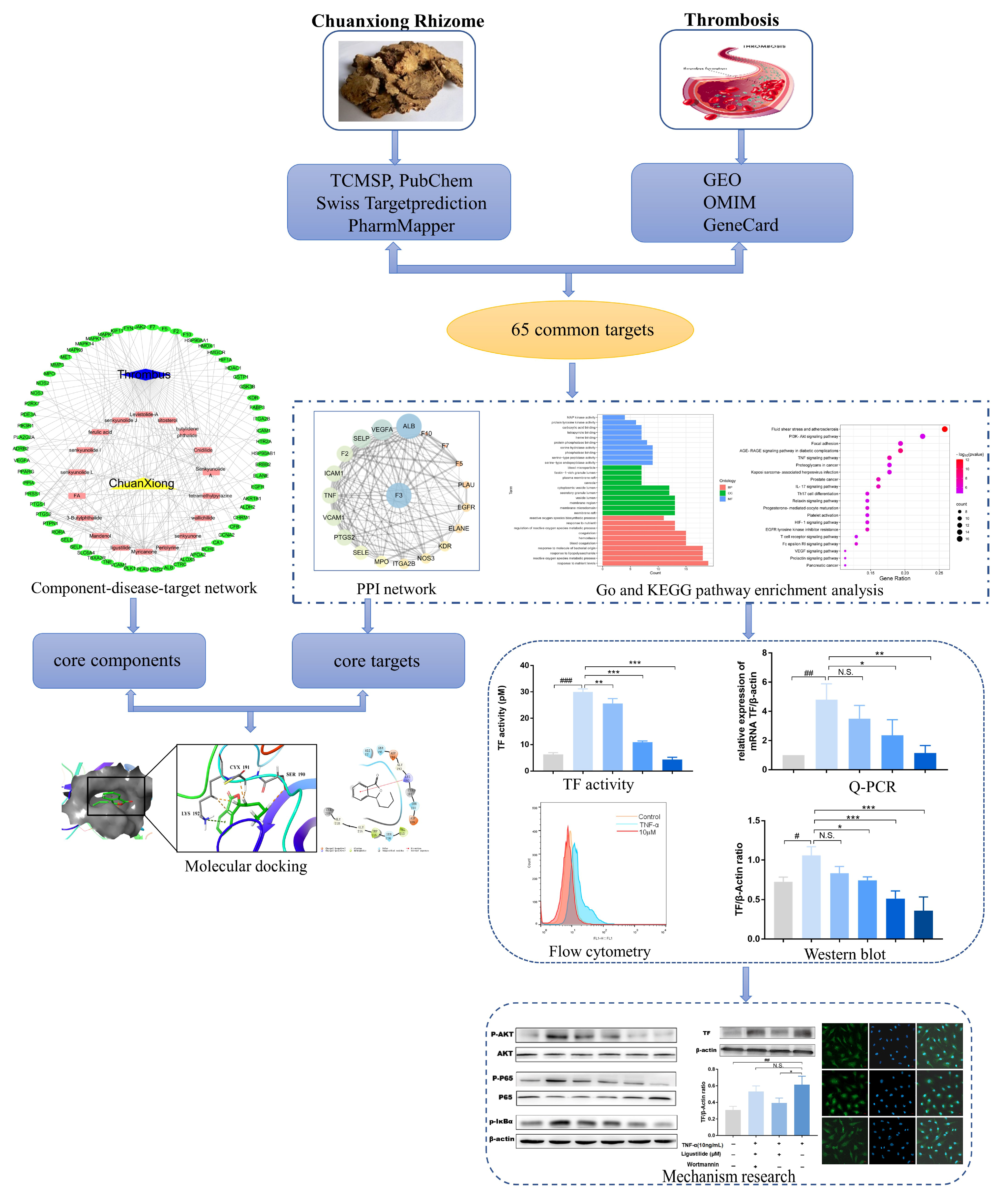 Molecules 28 06702 g001