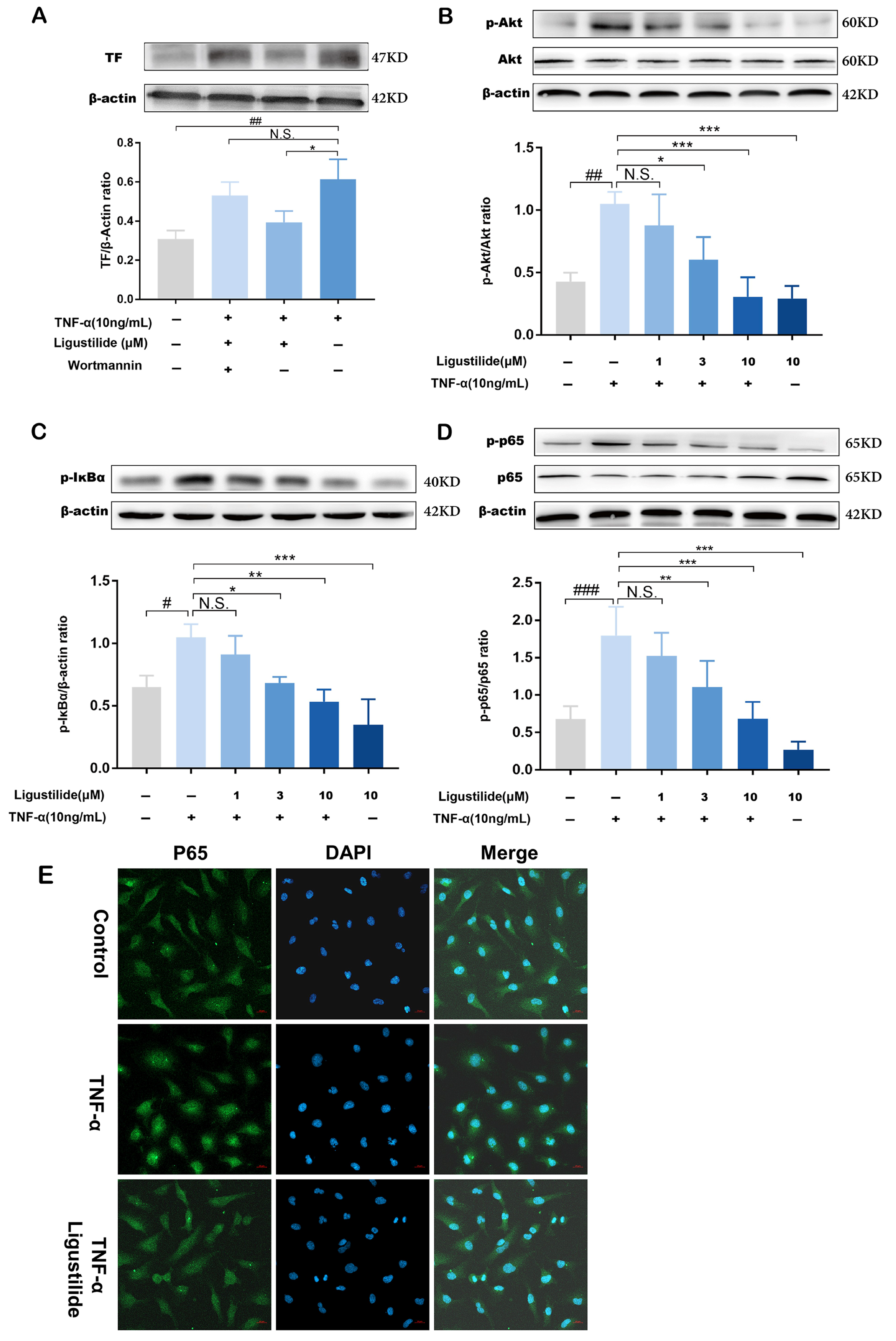 Molecules 28 06702 g007