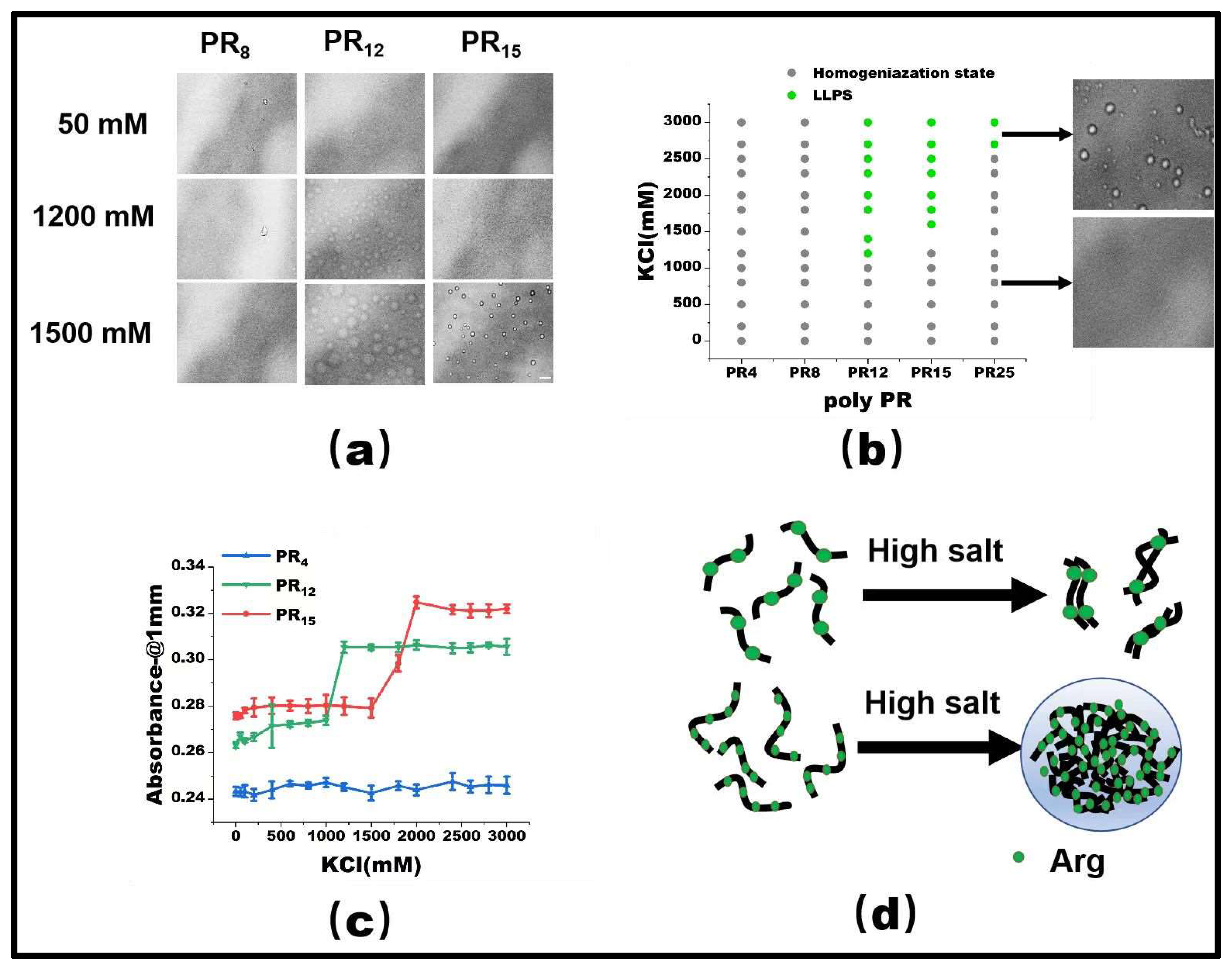Molecules 28 06707 g001