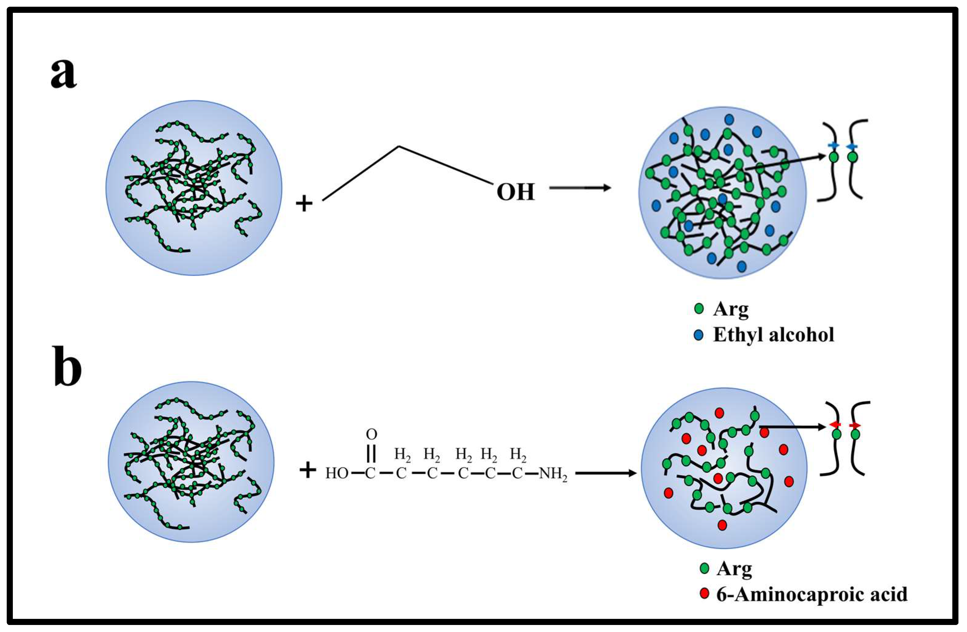 Molecules 28 06707 g006