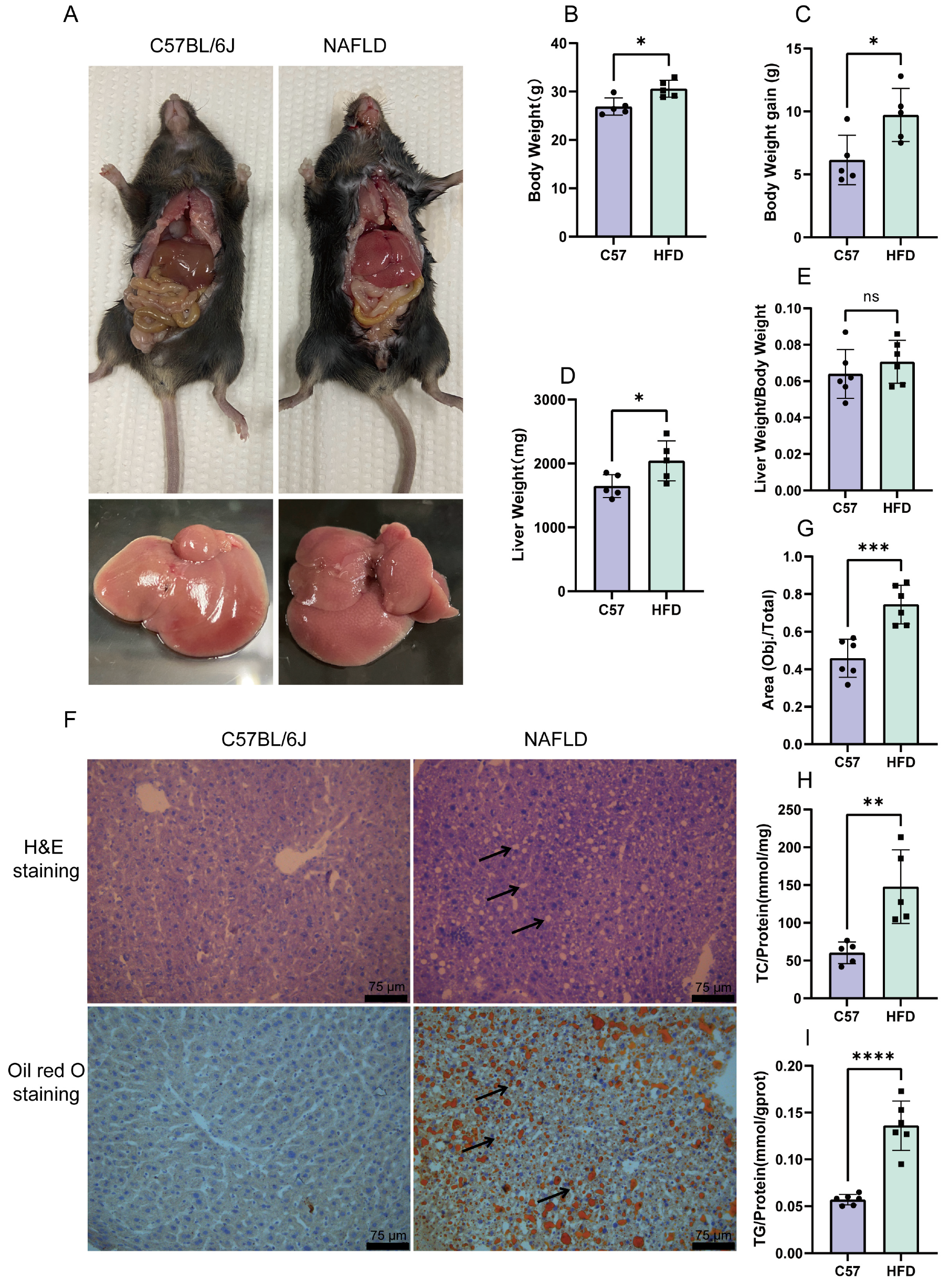 Molecules 28 06714 g004