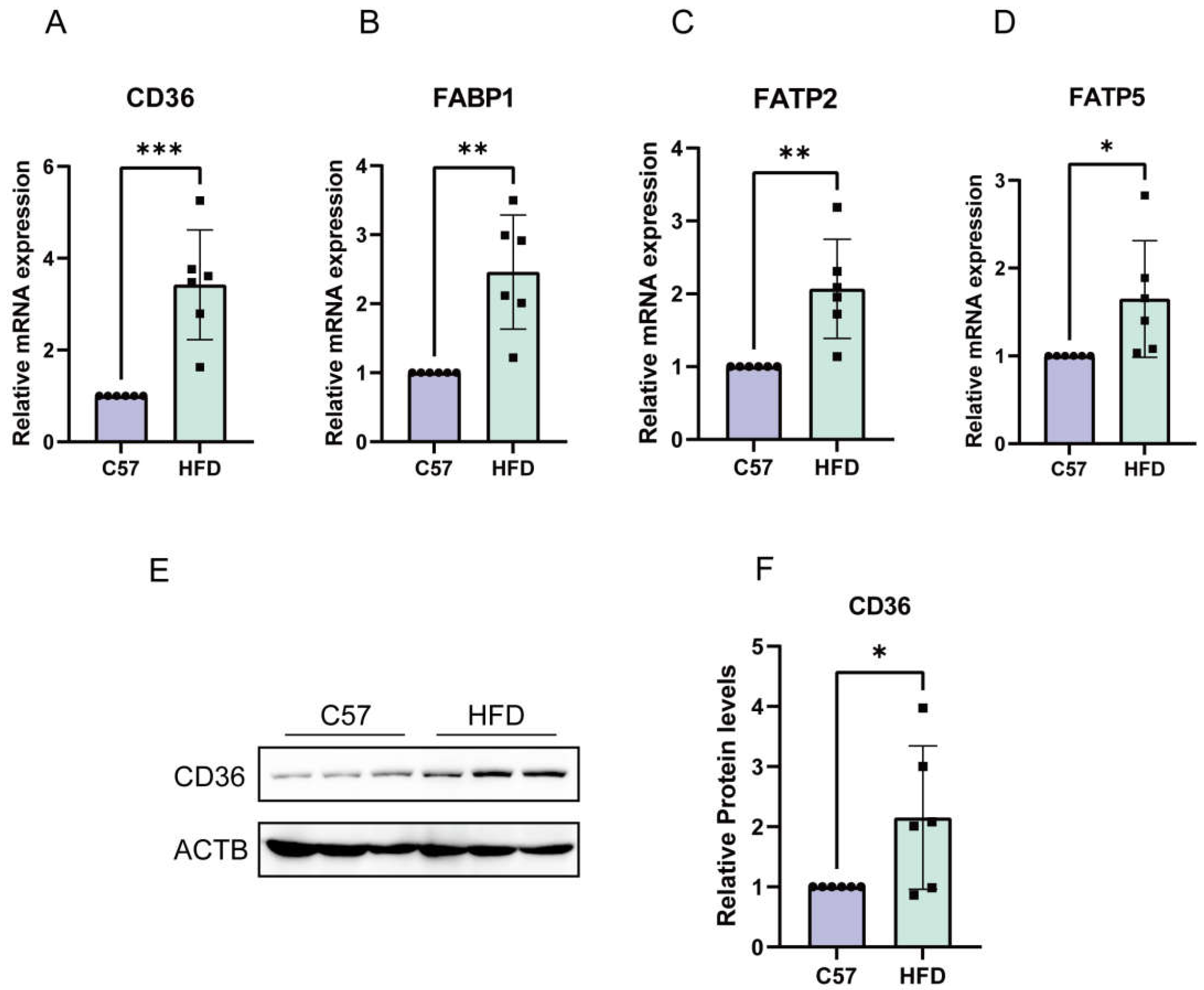 Molecules 28 06714 g006