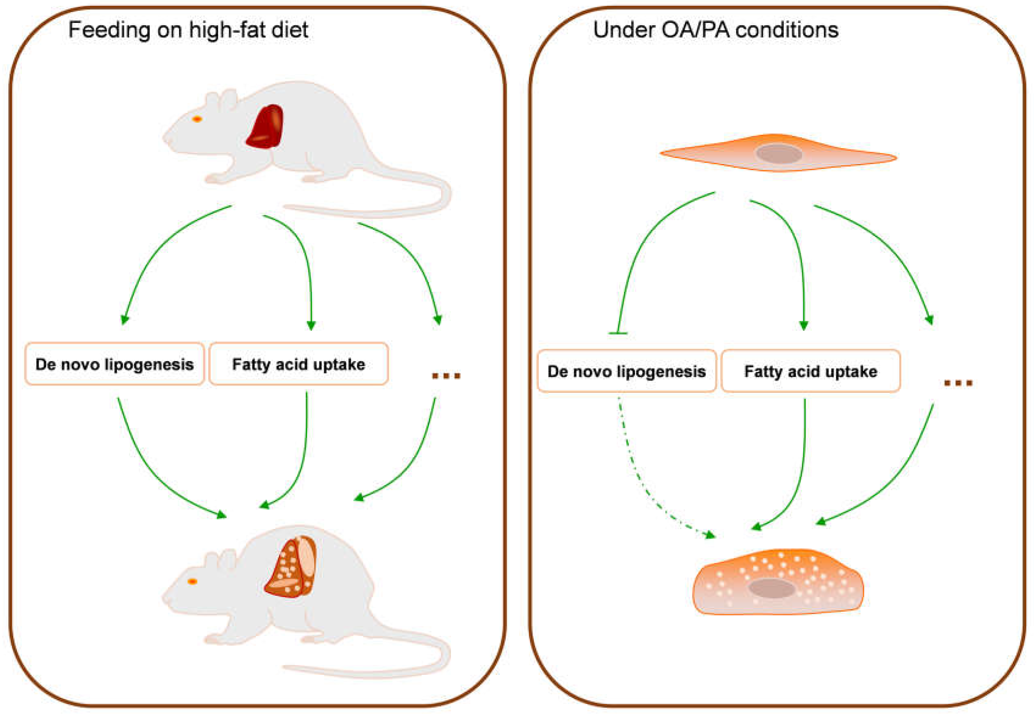 Molecules 28 06714 g008