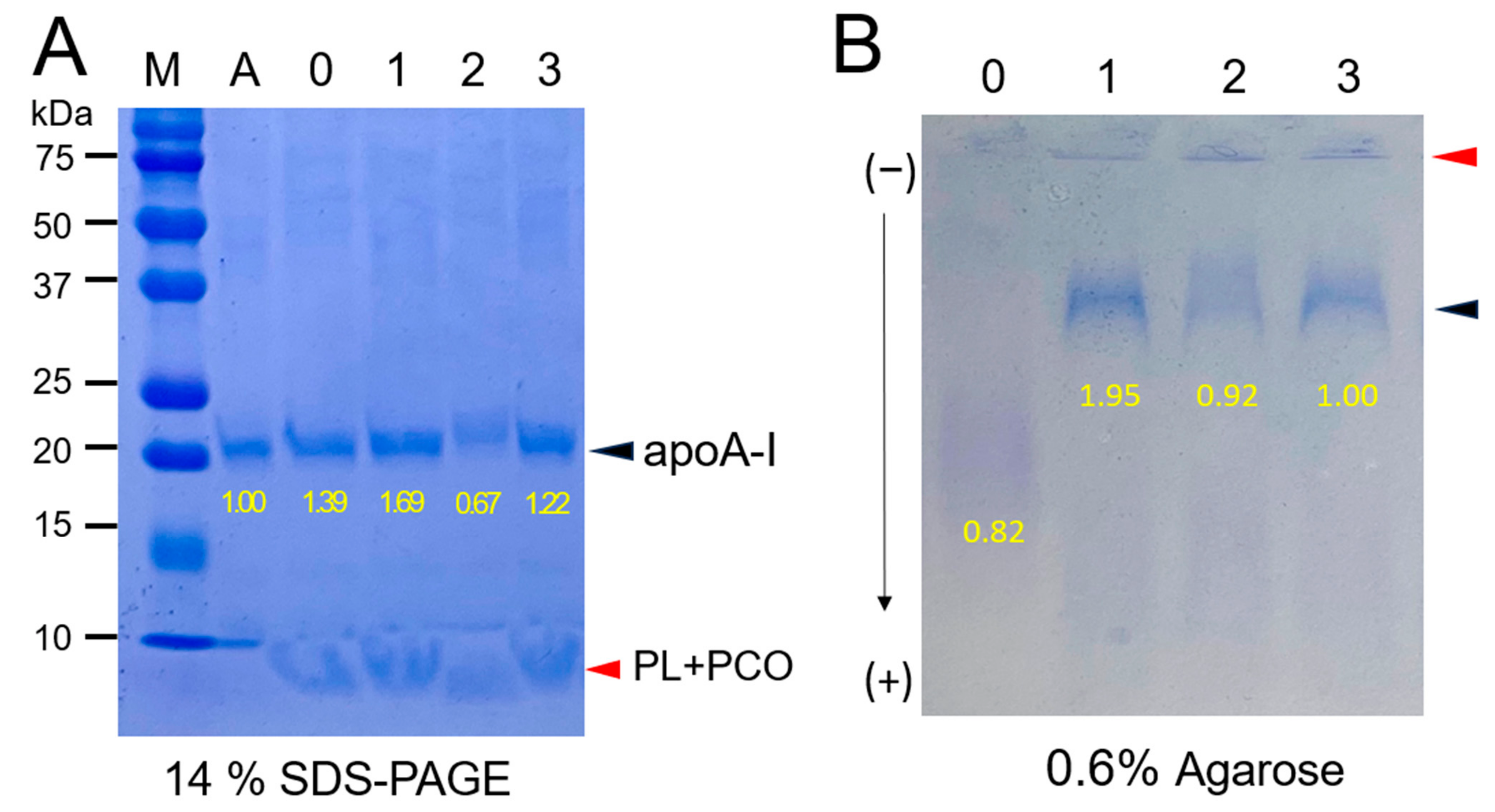 Molecules 28 06715 g001
