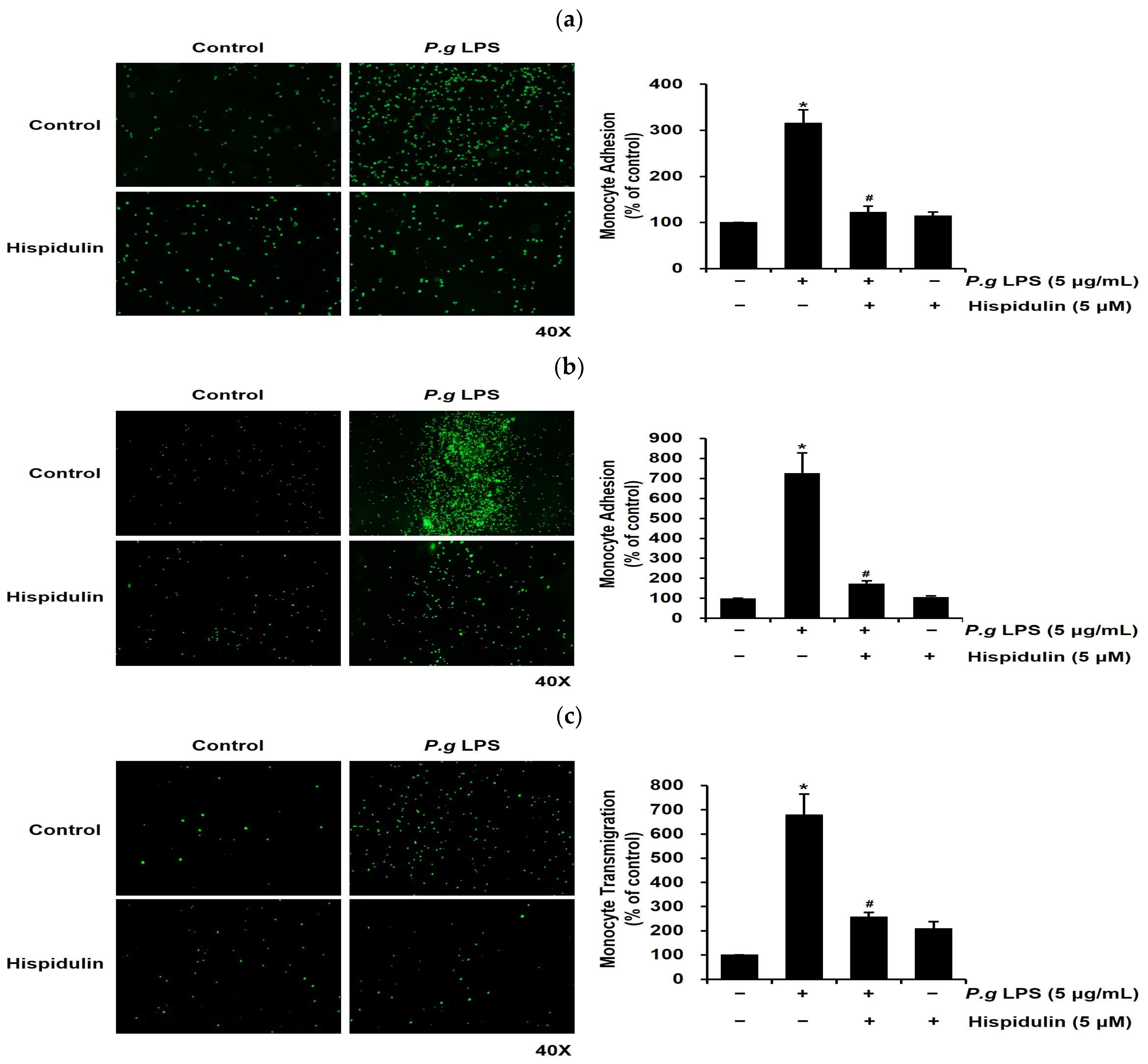 Molecules 28 06717 g003