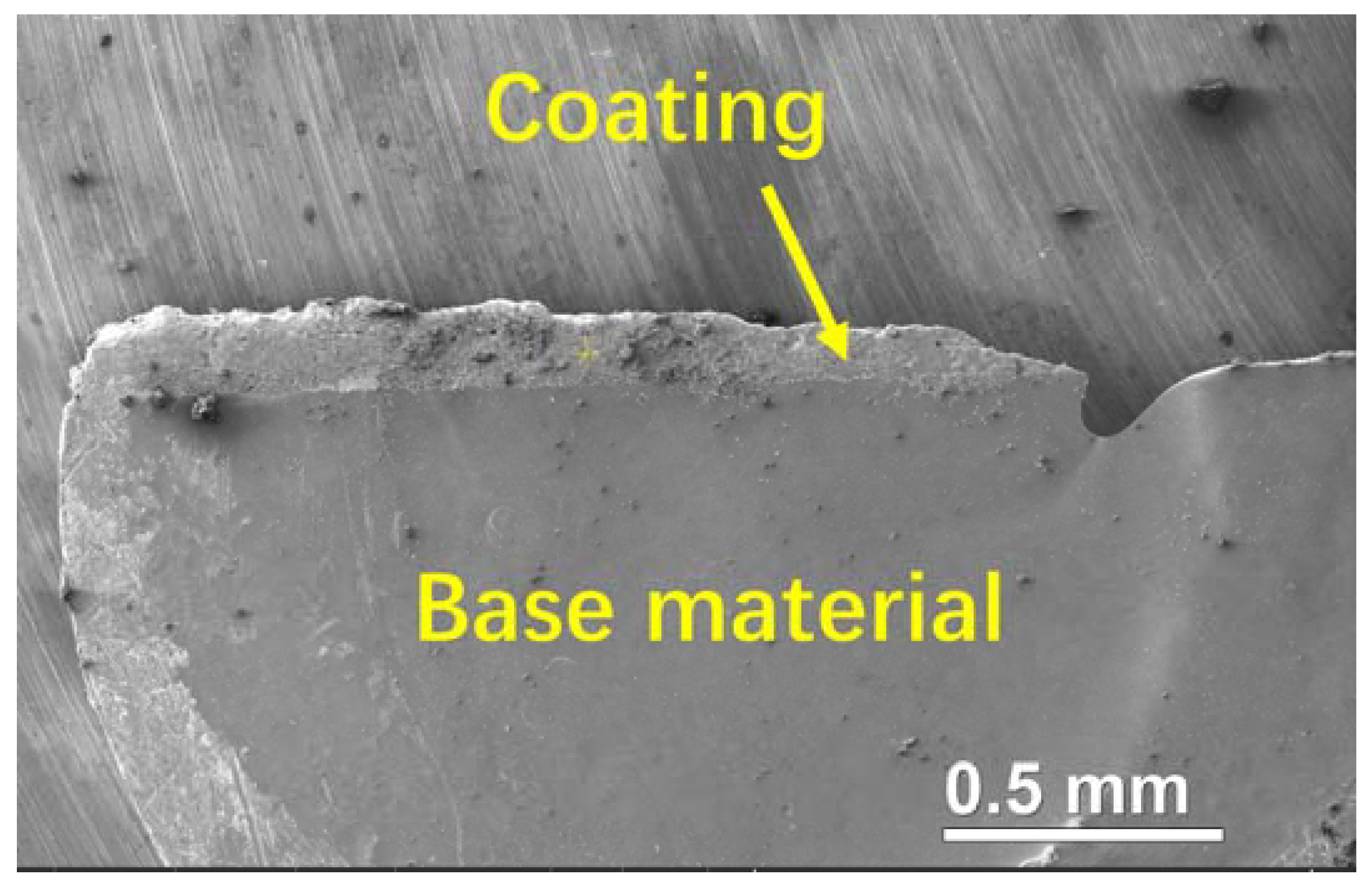 Molecules 28 06718 g013