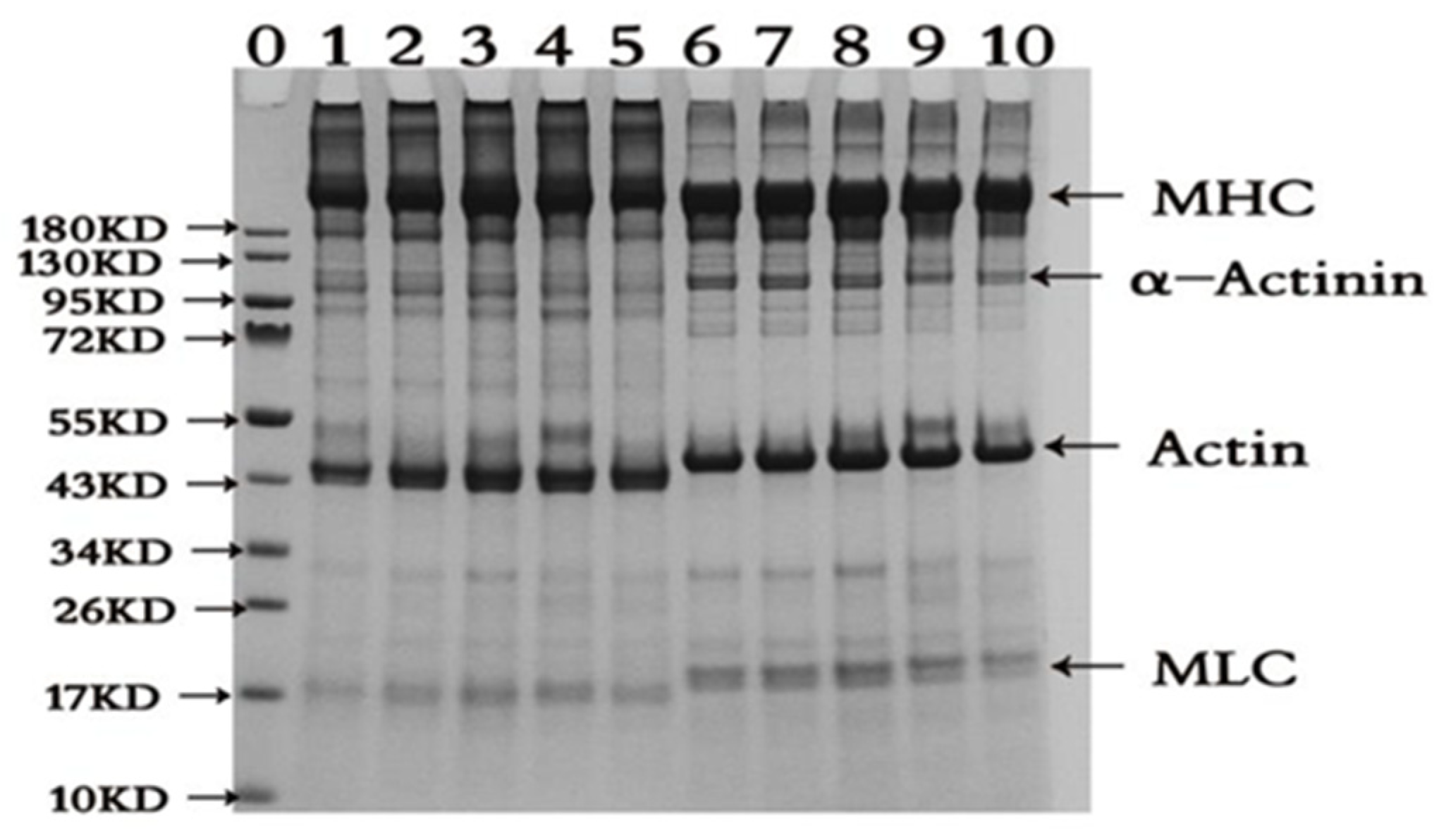 Molecules 28 06721 g002