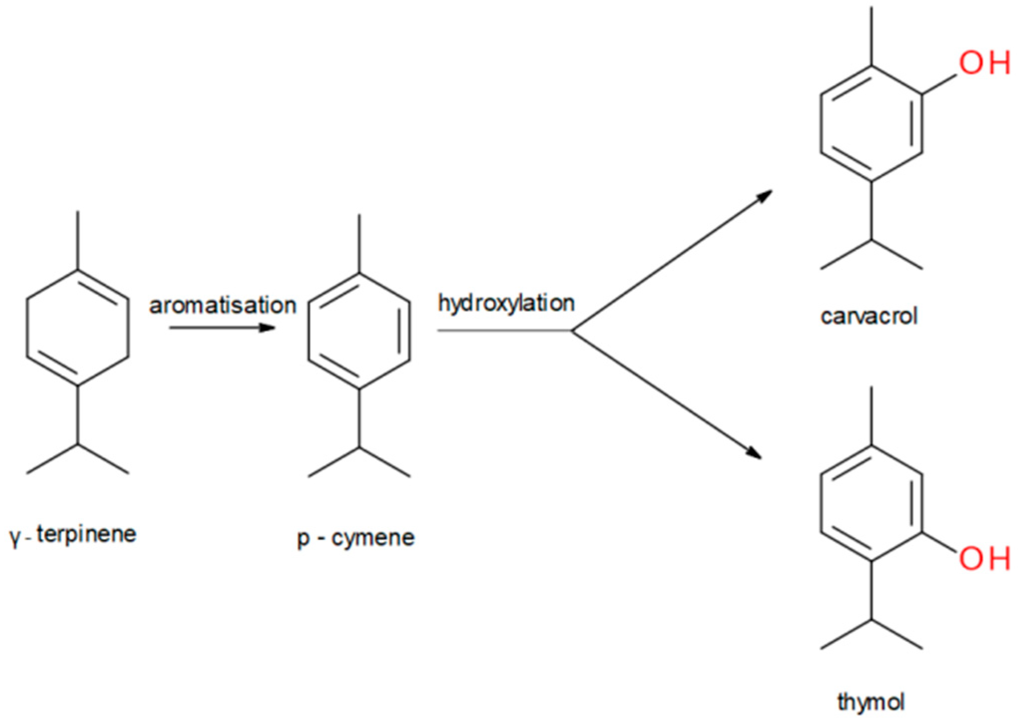 Molecules 28 06728 g001