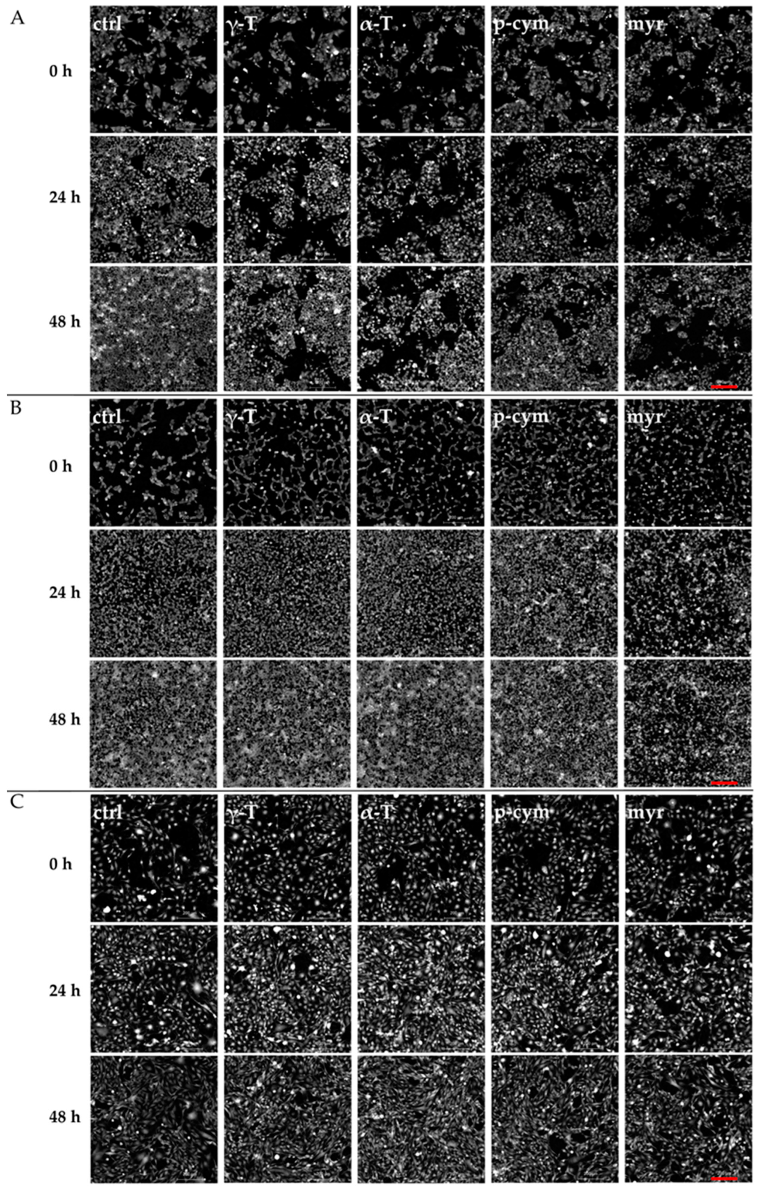 Molecules 28 06728 g004