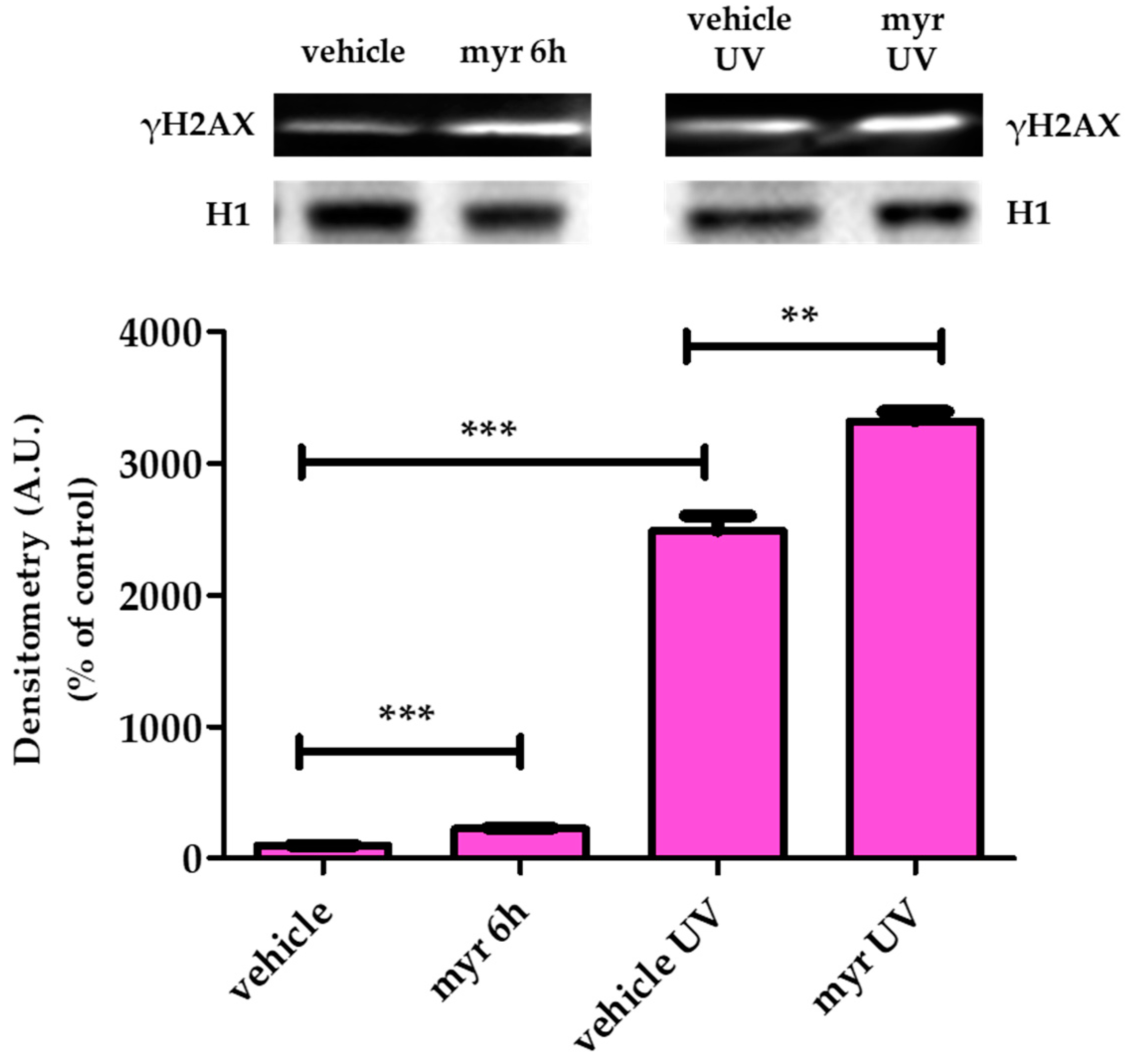 Molecules 28 06728 g009