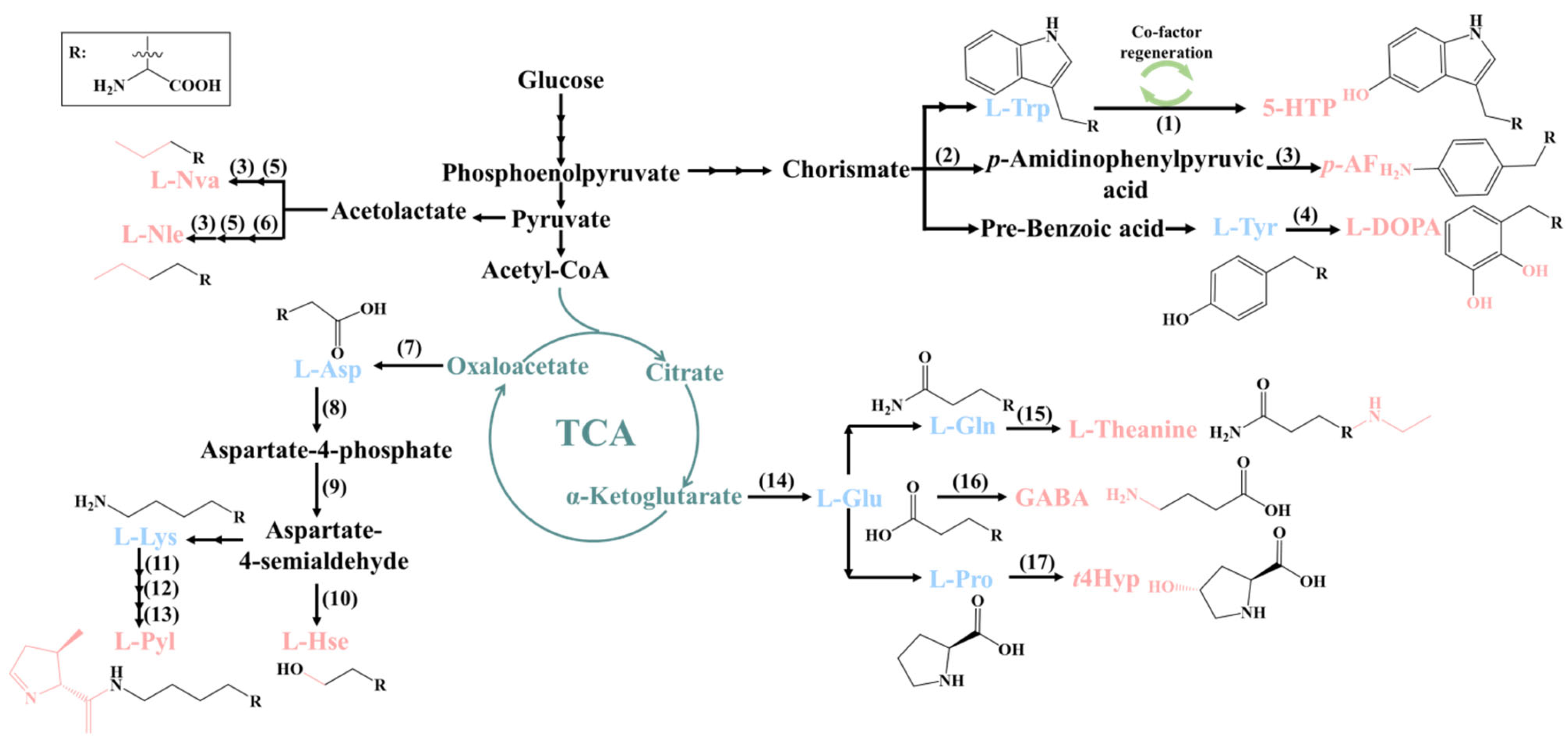 Molecules 28 06745 g001