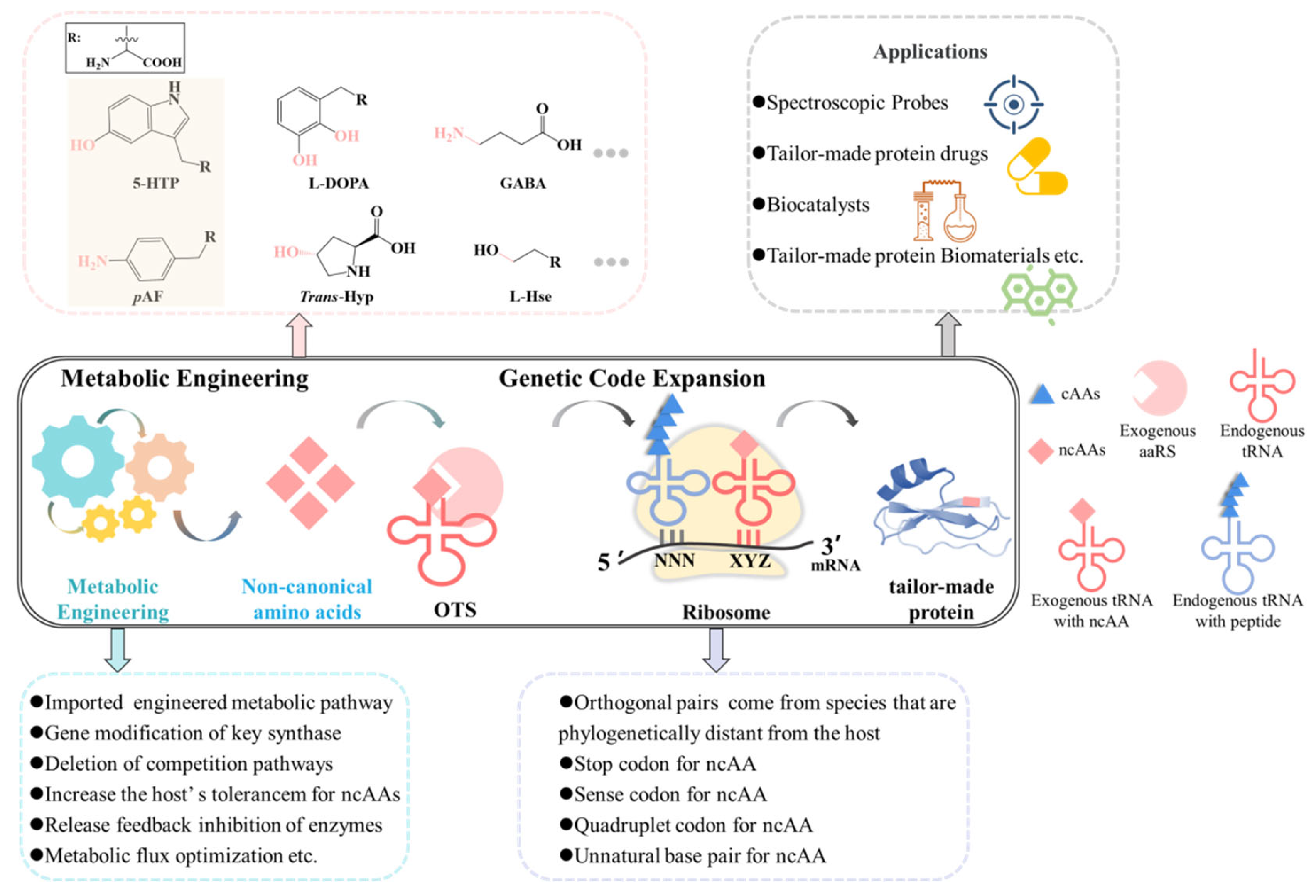 Molecules 28 06745 g002