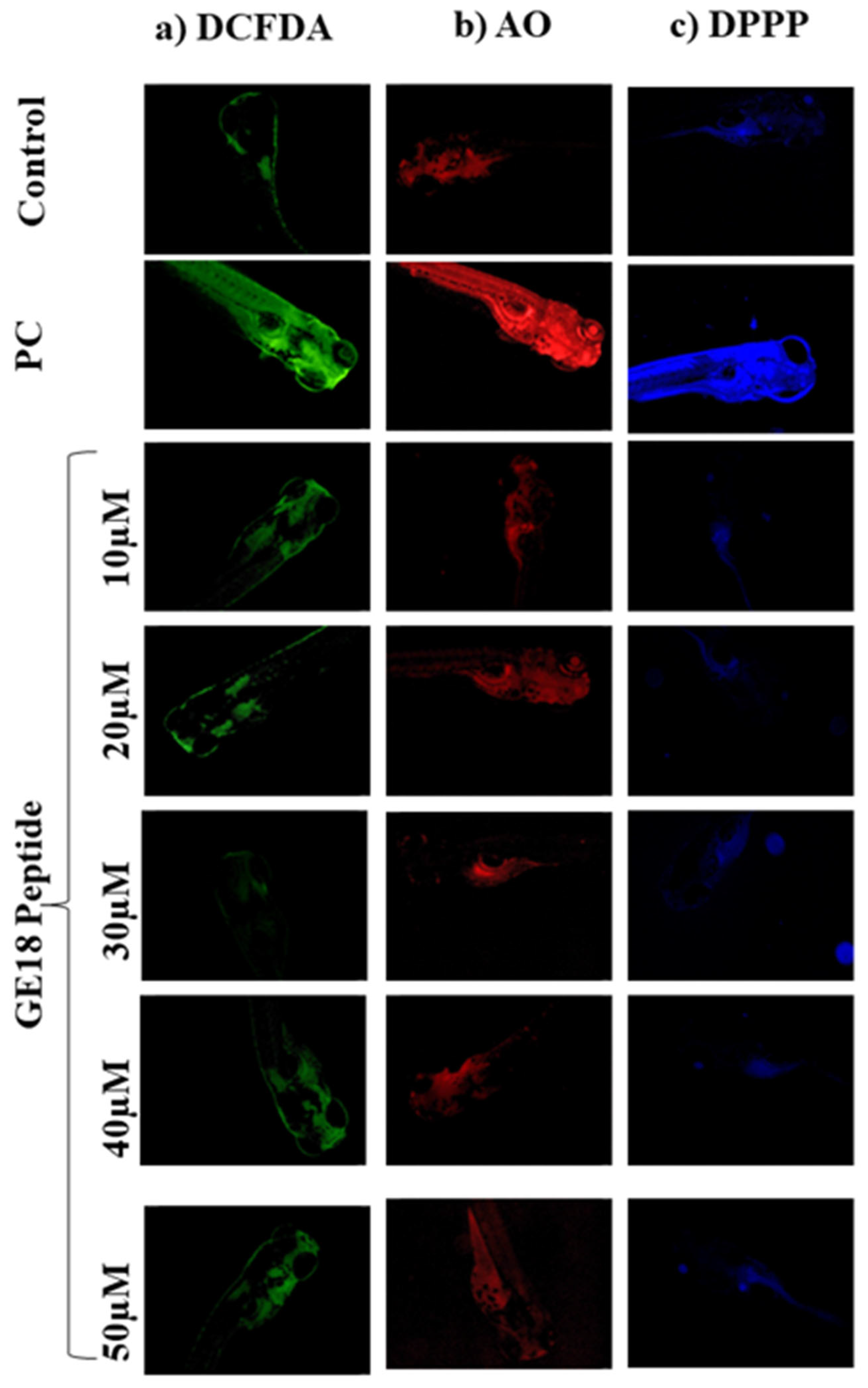 Molecules 28 06746 g002