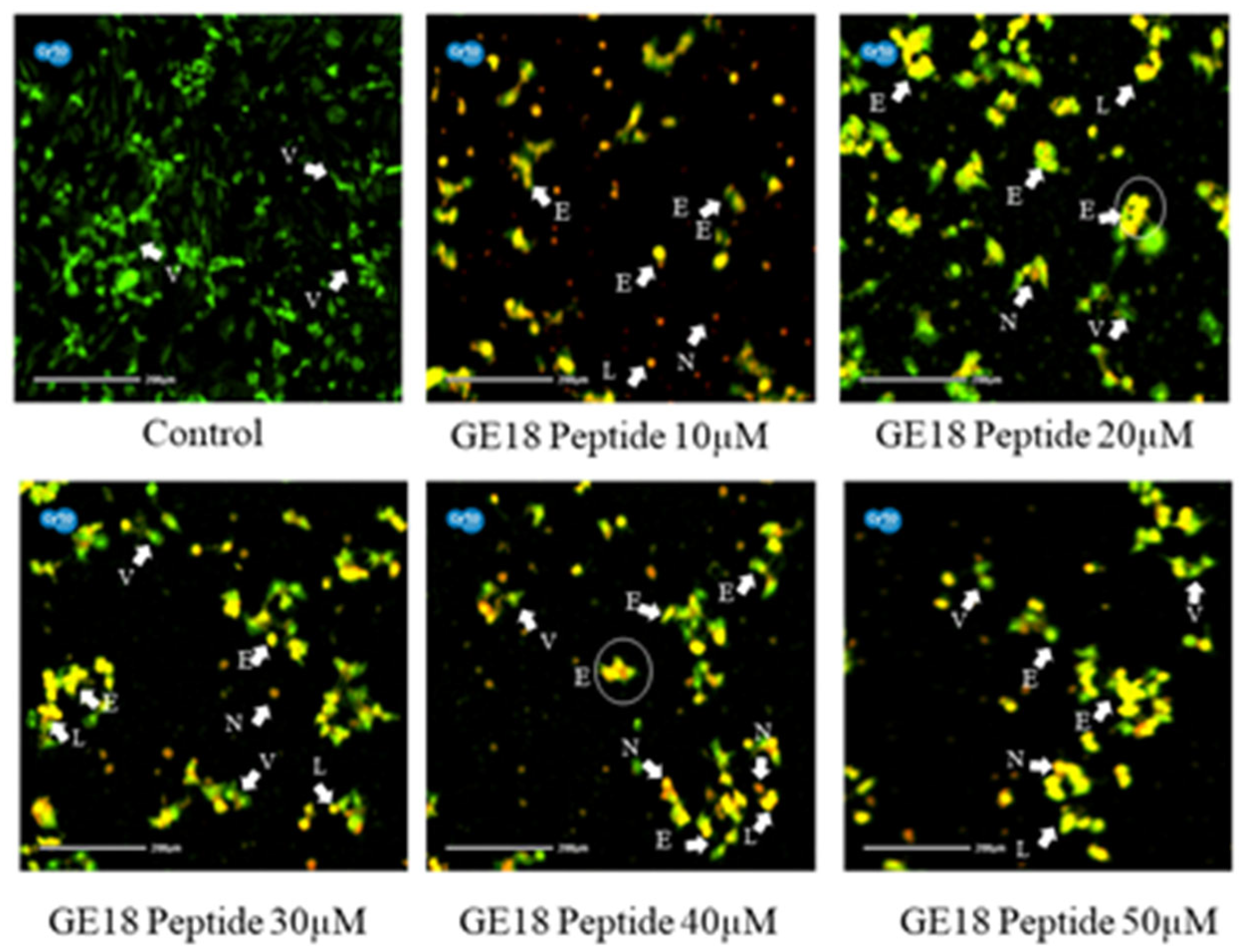 Molecules 28 06746 g004