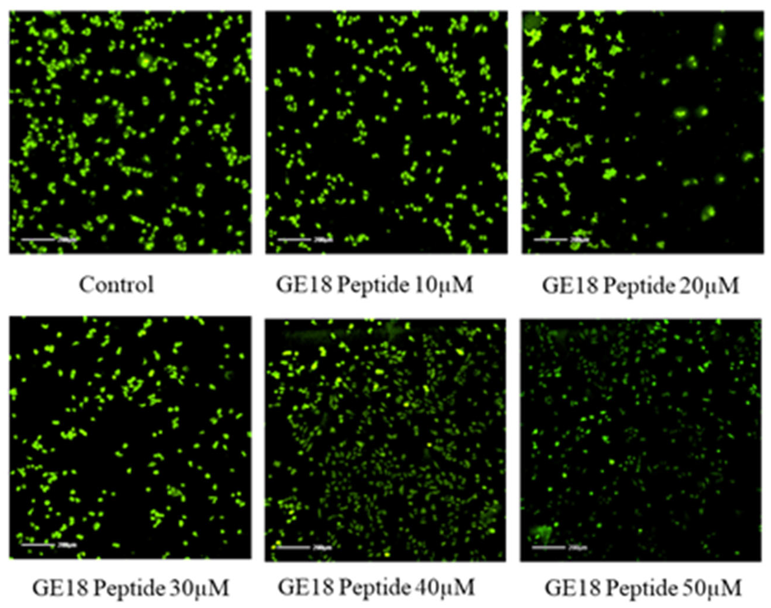 Molecules 28 06746 g006