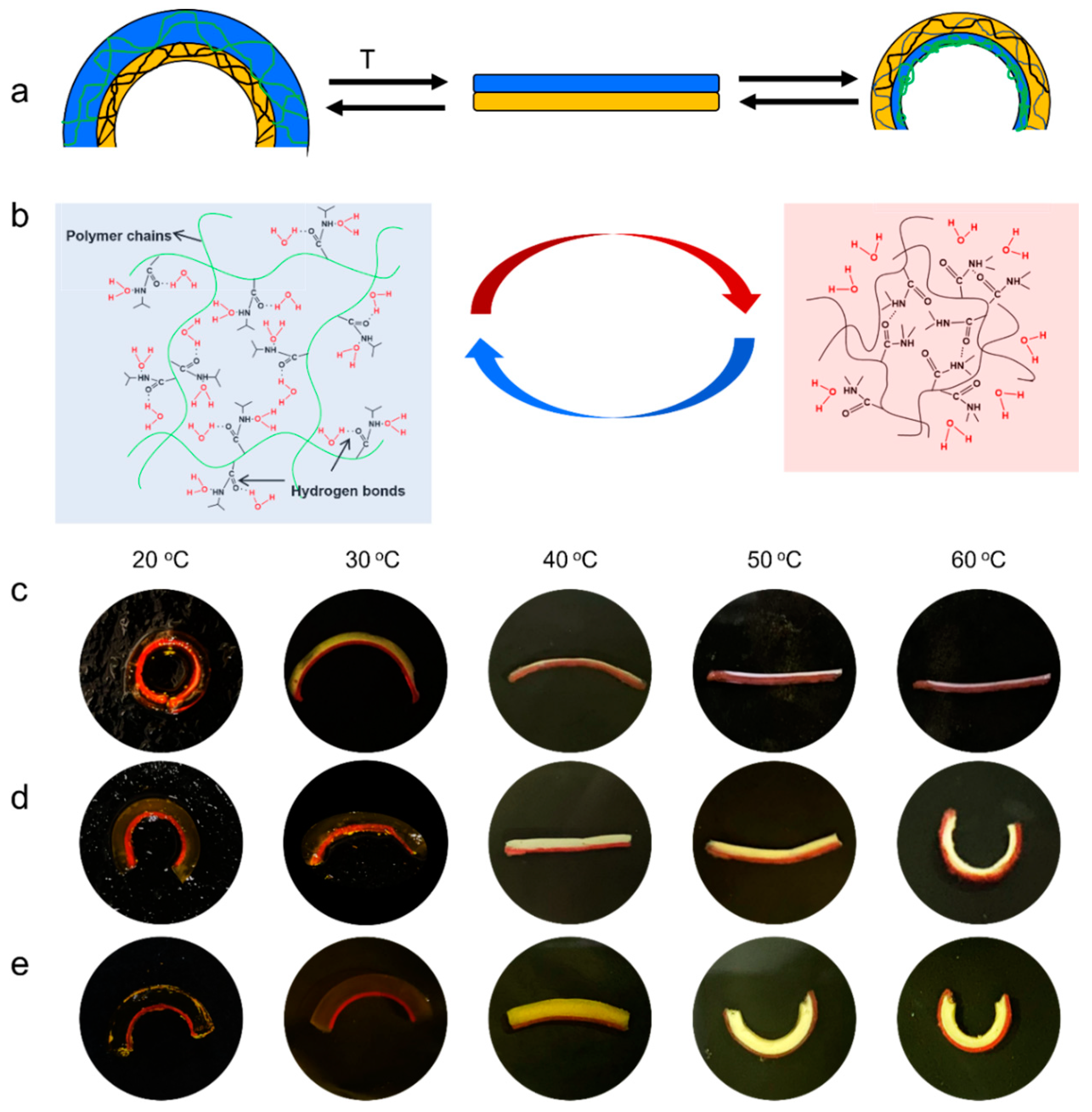 Molecules 28 06752 g001