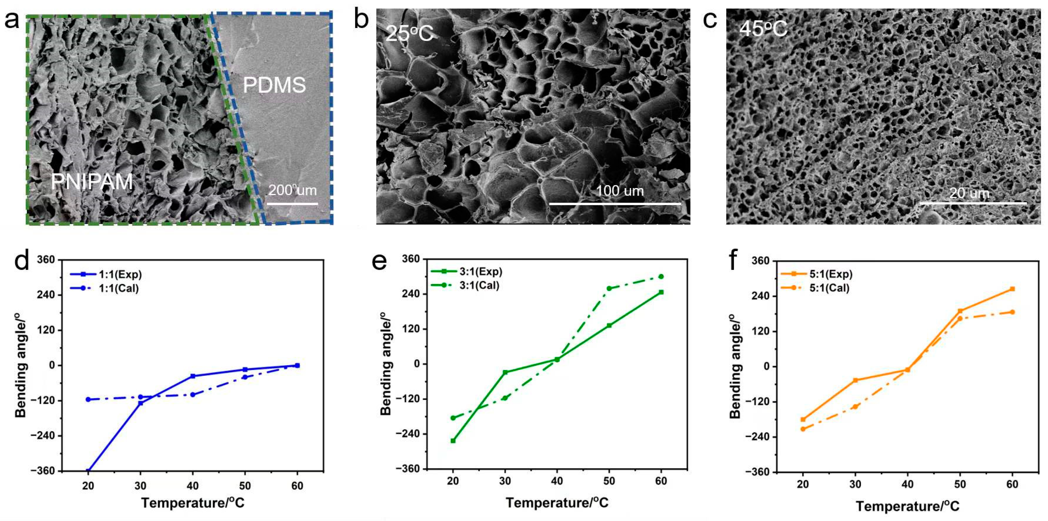 Molecules 28 06752 g002