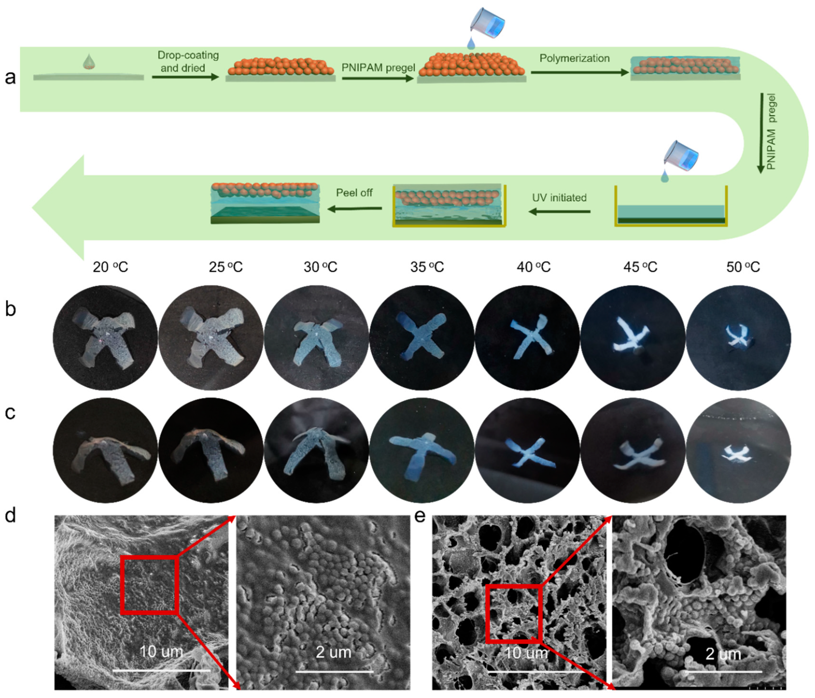 Molecules 28 06752 g004