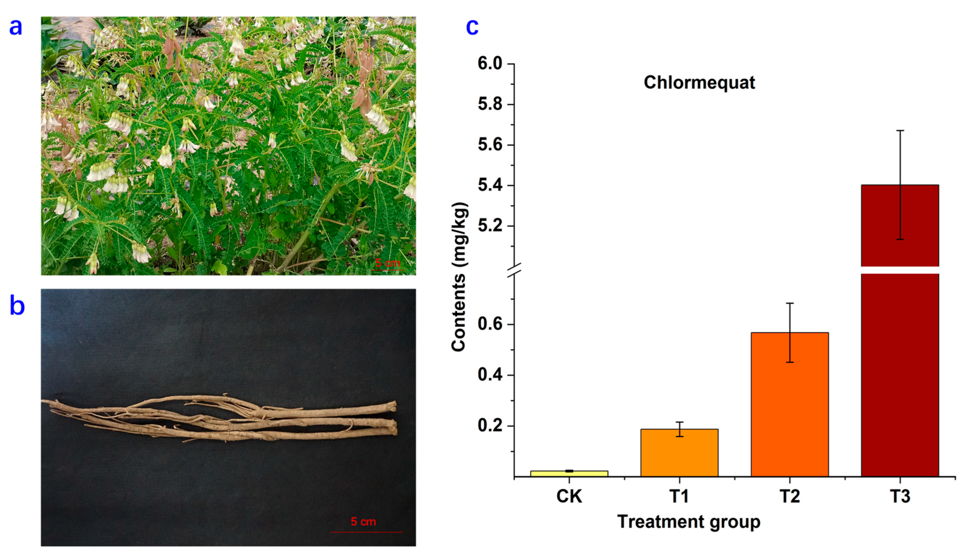 Molecules 28 06754 g001