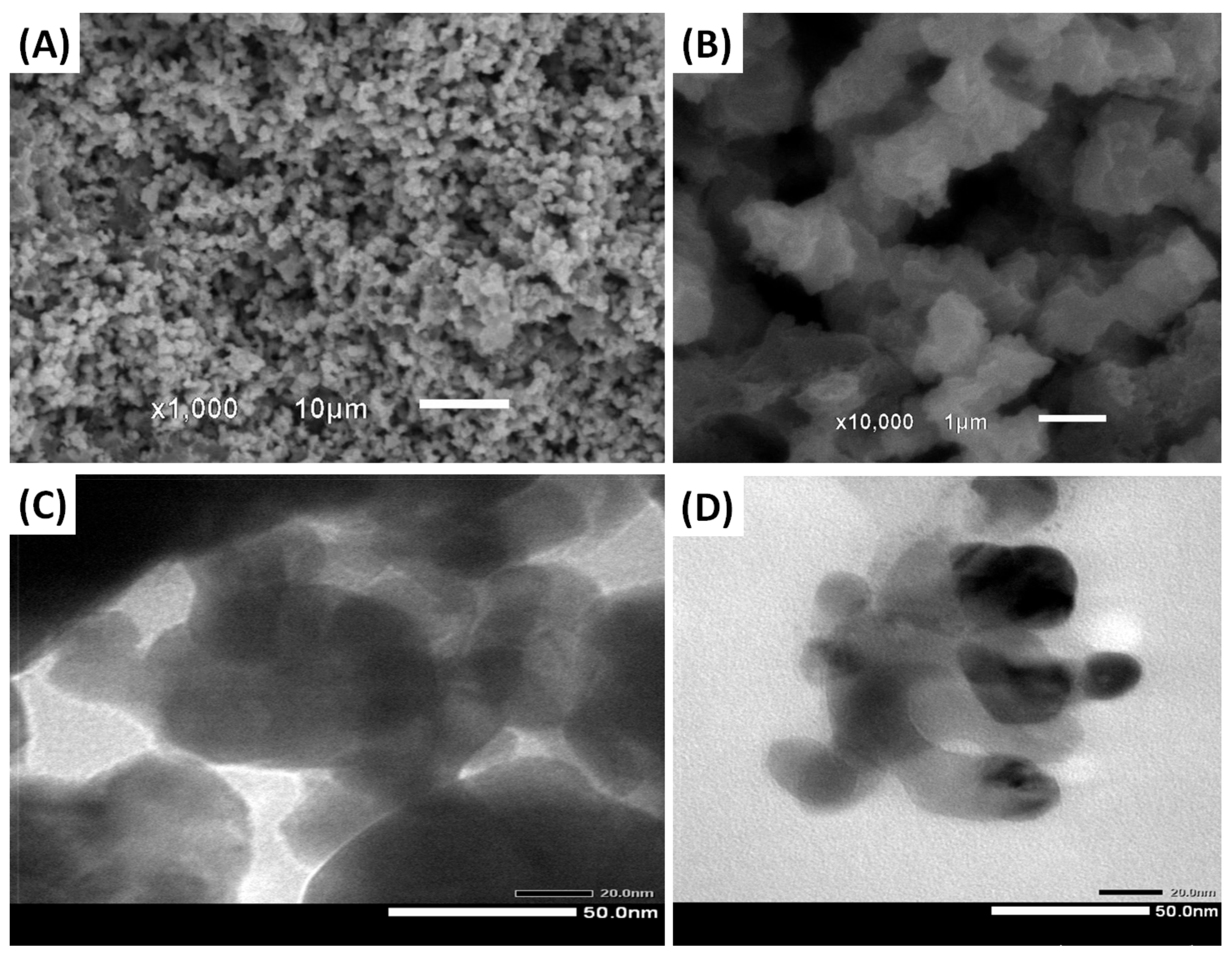 Molecules 28 06763 g002